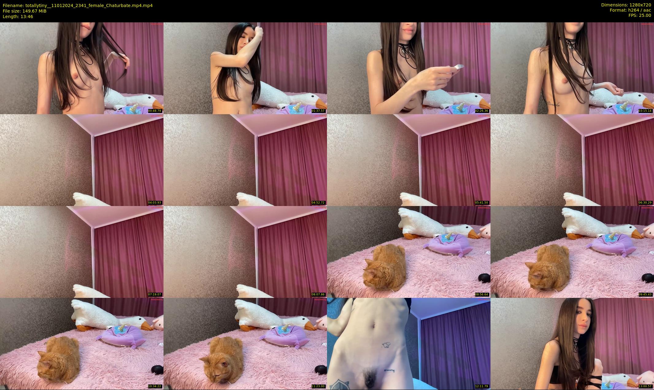 totallytiny_ — 14 minute Chaturbate female cam show recording, 720p, Jan 11, 2024