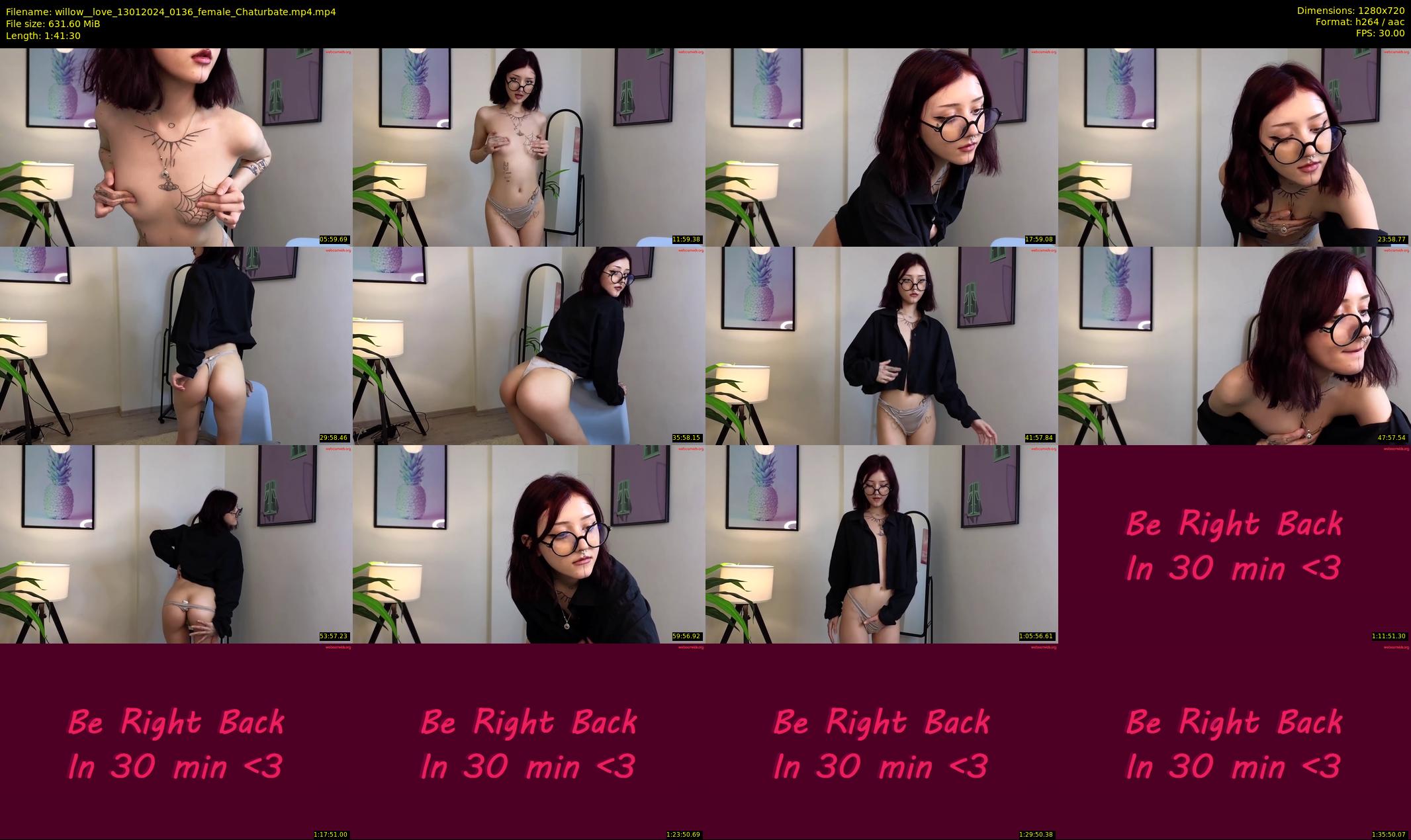 willow__love — 102 minute Chaturbate female cam show recording, 720p, Jan 13, 2024