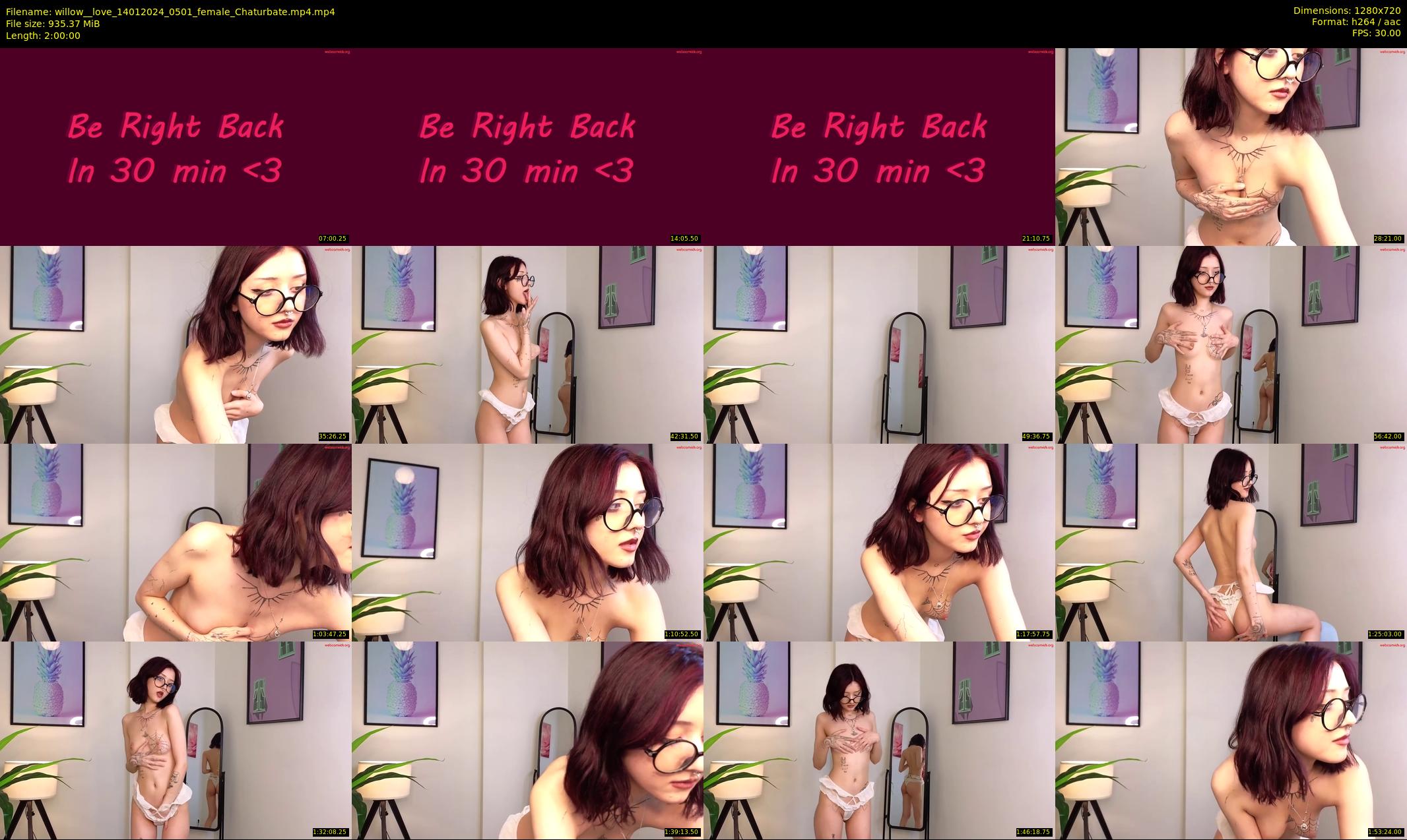 willow__love — 120 minute Chaturbate female cam show recording, 720p, Jan 14, 2024
