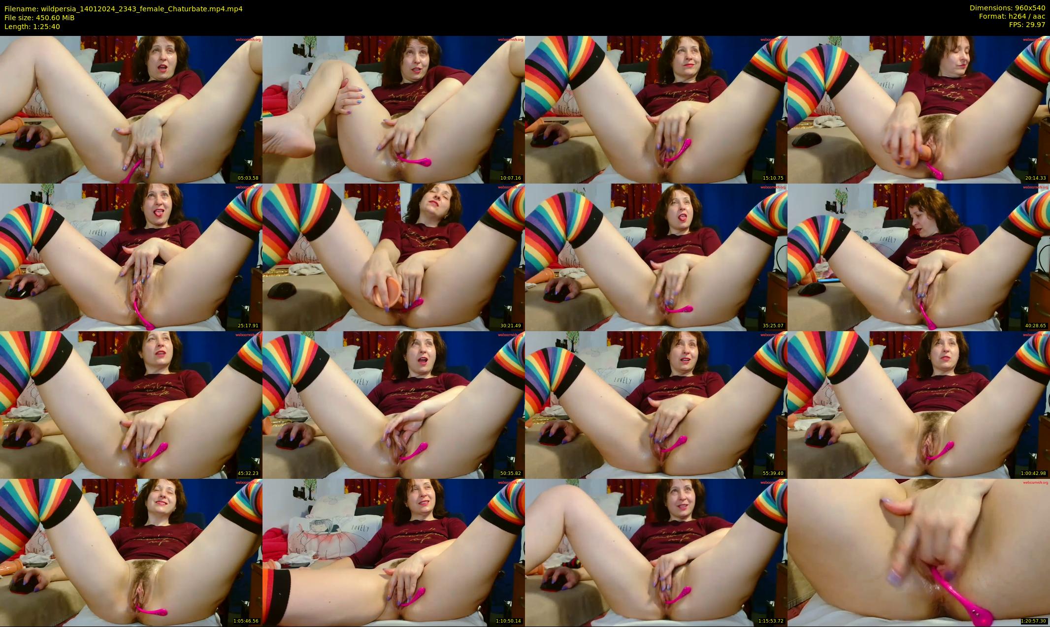 wildpersia — 86 minute Chaturbate female cam show recording, 480p, Jan 14, 2024