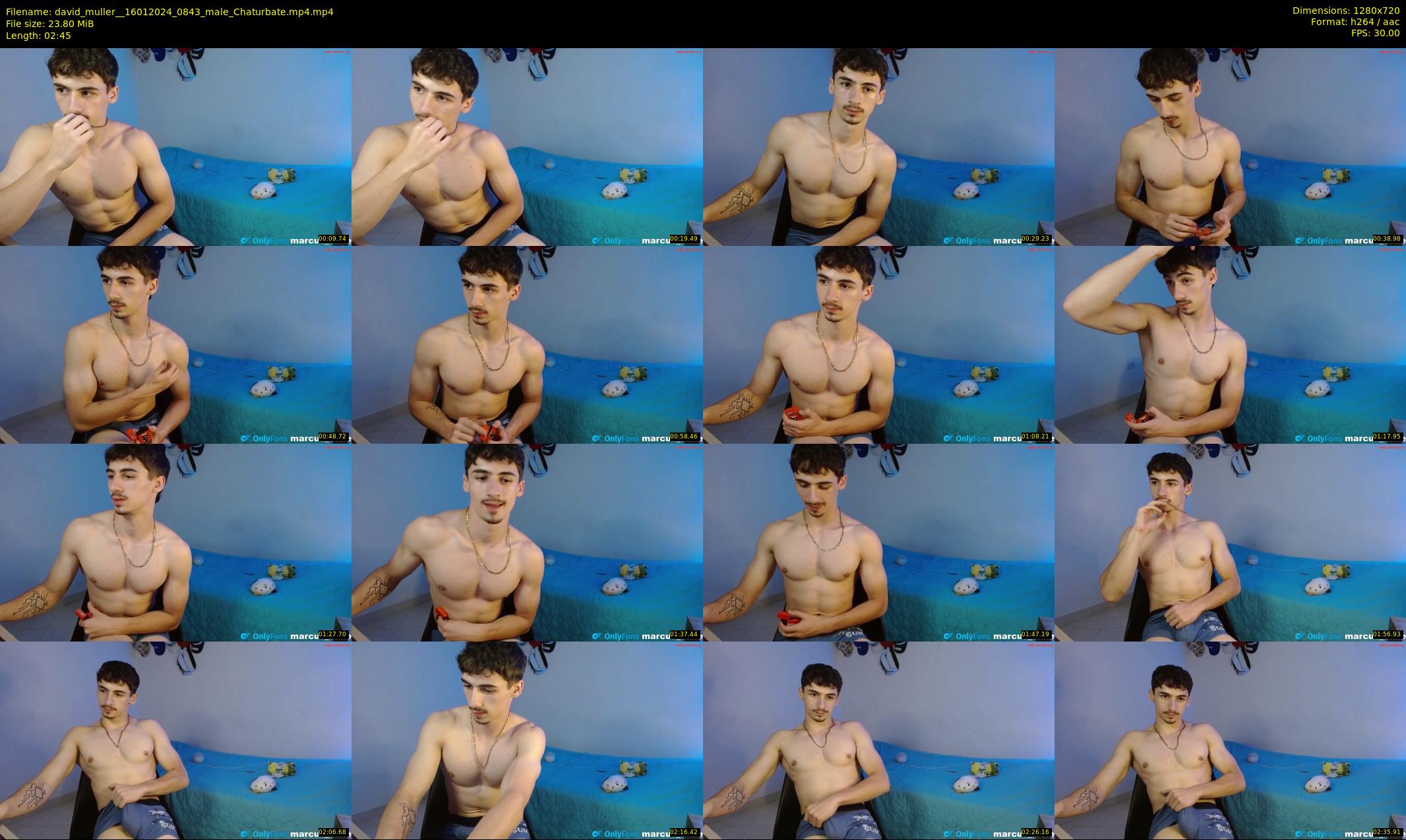 david_muller_ — 3 minute Chaturbate male cam show recording, 720p, Jan 16, 2024