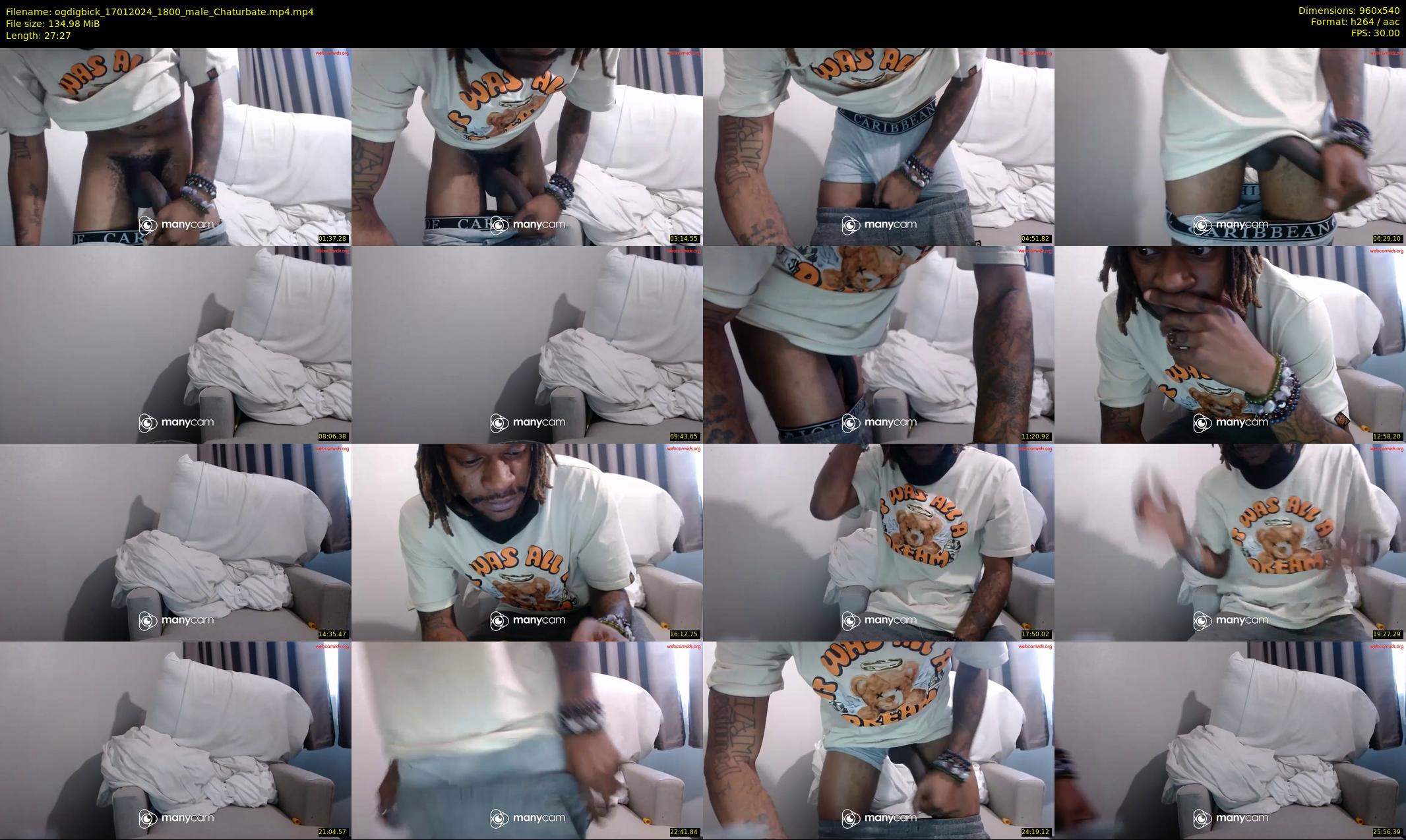ogdigbick — 28 minute Chaturbate male cam show recording, 480p, Jan 17, 2024