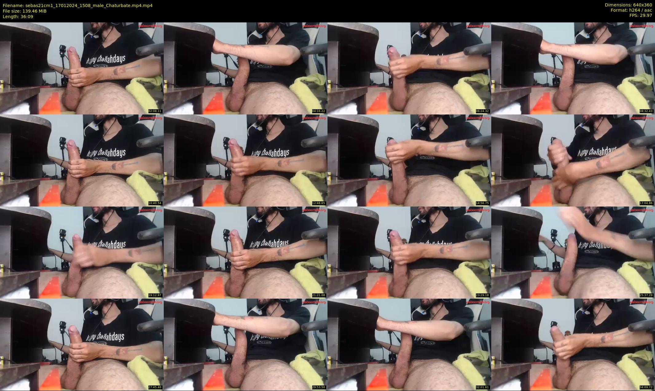 sebas21cm1 — 37 minute Chaturbate male cam show recording, 360p, Jan 17, 2024