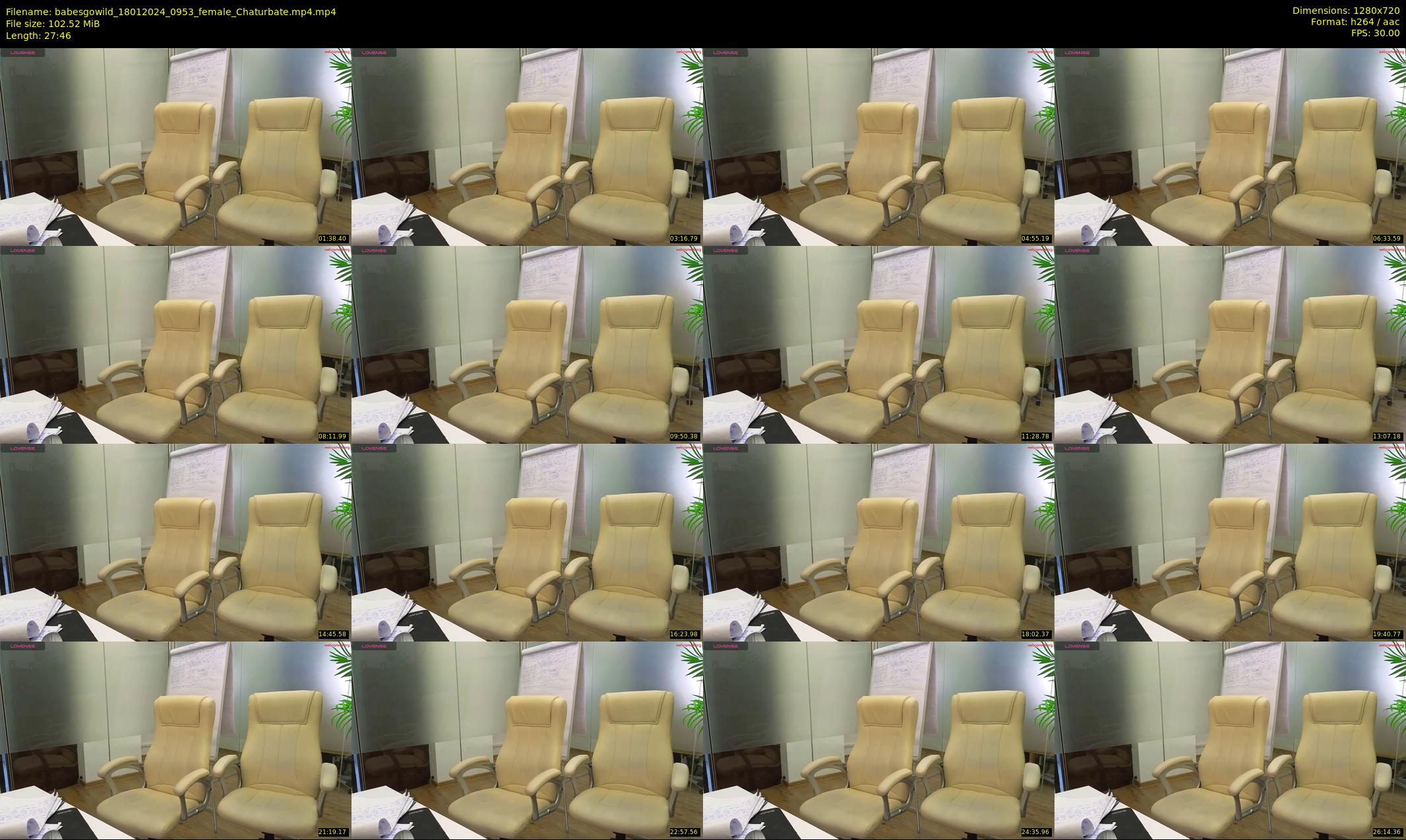 babesgowild — 28 minute Chaturbate couple cam show recording, 720p, Jan 18, 2024