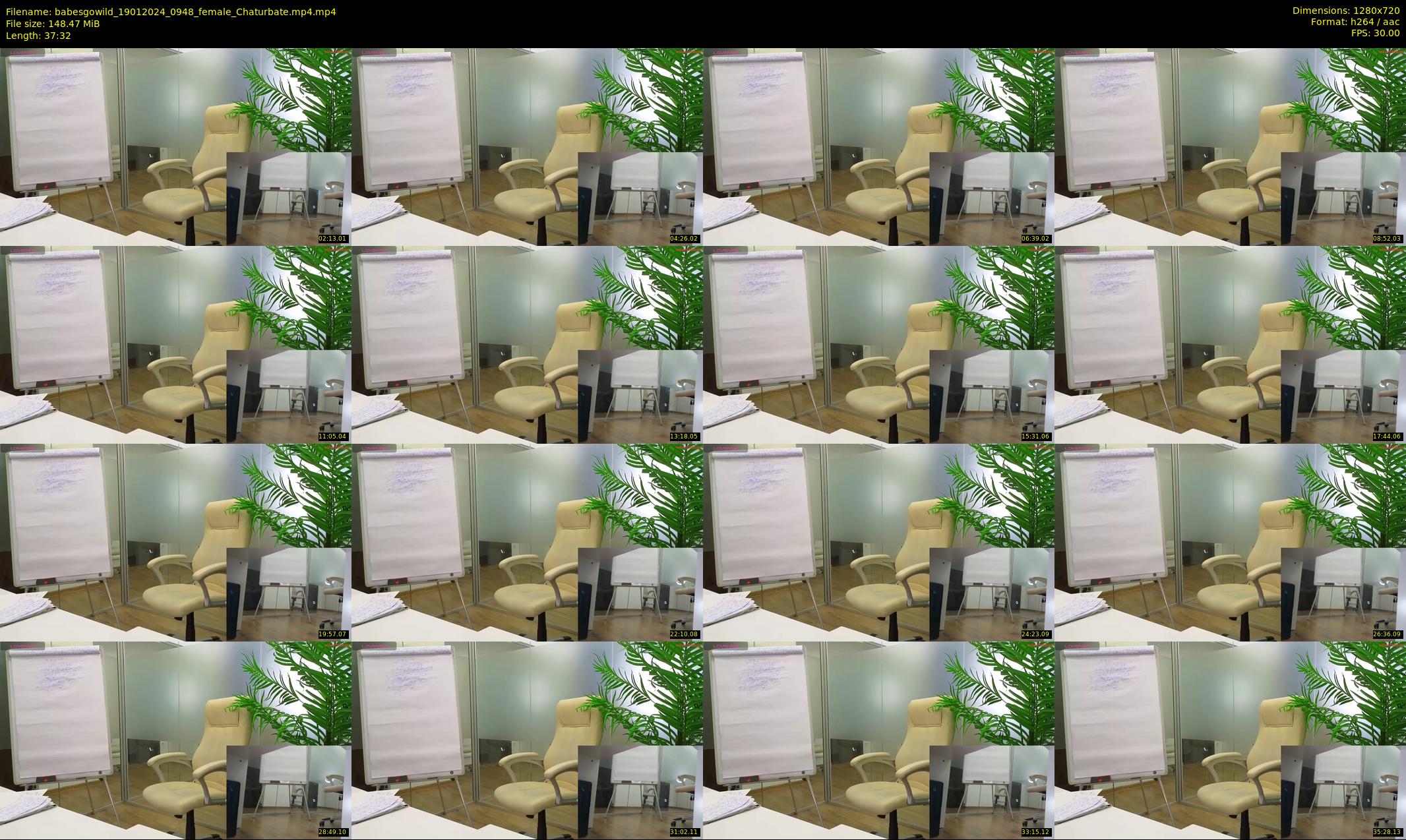 babesgowild — 38 minute Chaturbate couple cam show recording, 720p, Jan 19, 2024
