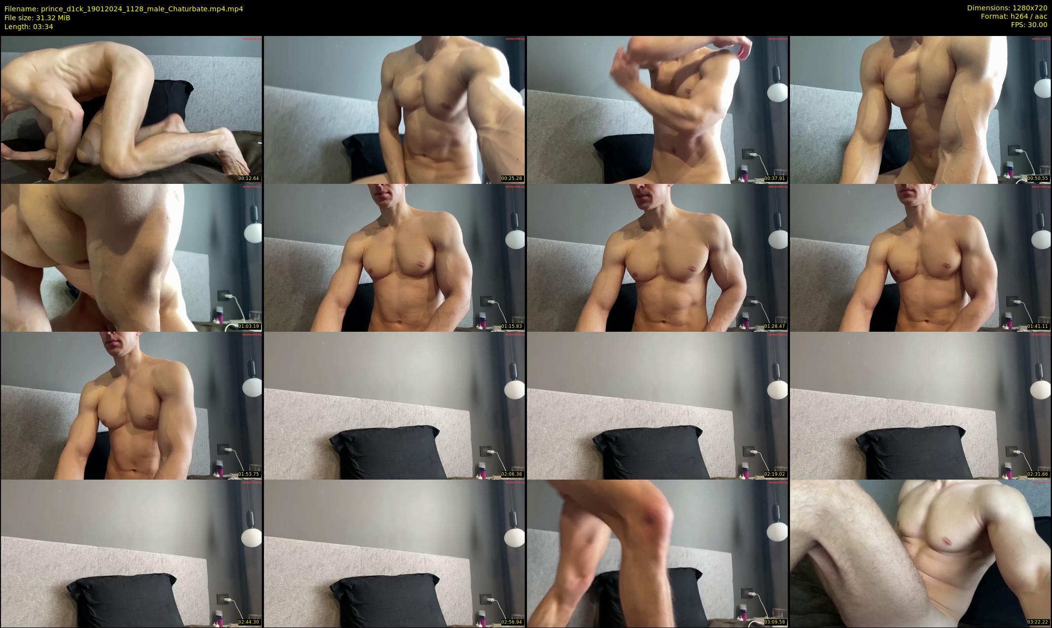 prince_d1ck — 4 minute Chaturbate male cam show recording, 720p, Jan 19, 2024