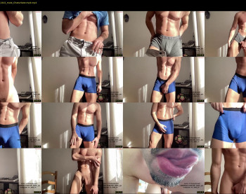 bestdick1991 — 58 minute Chaturbate male cam show recording, 720p, Jan 20, 2024