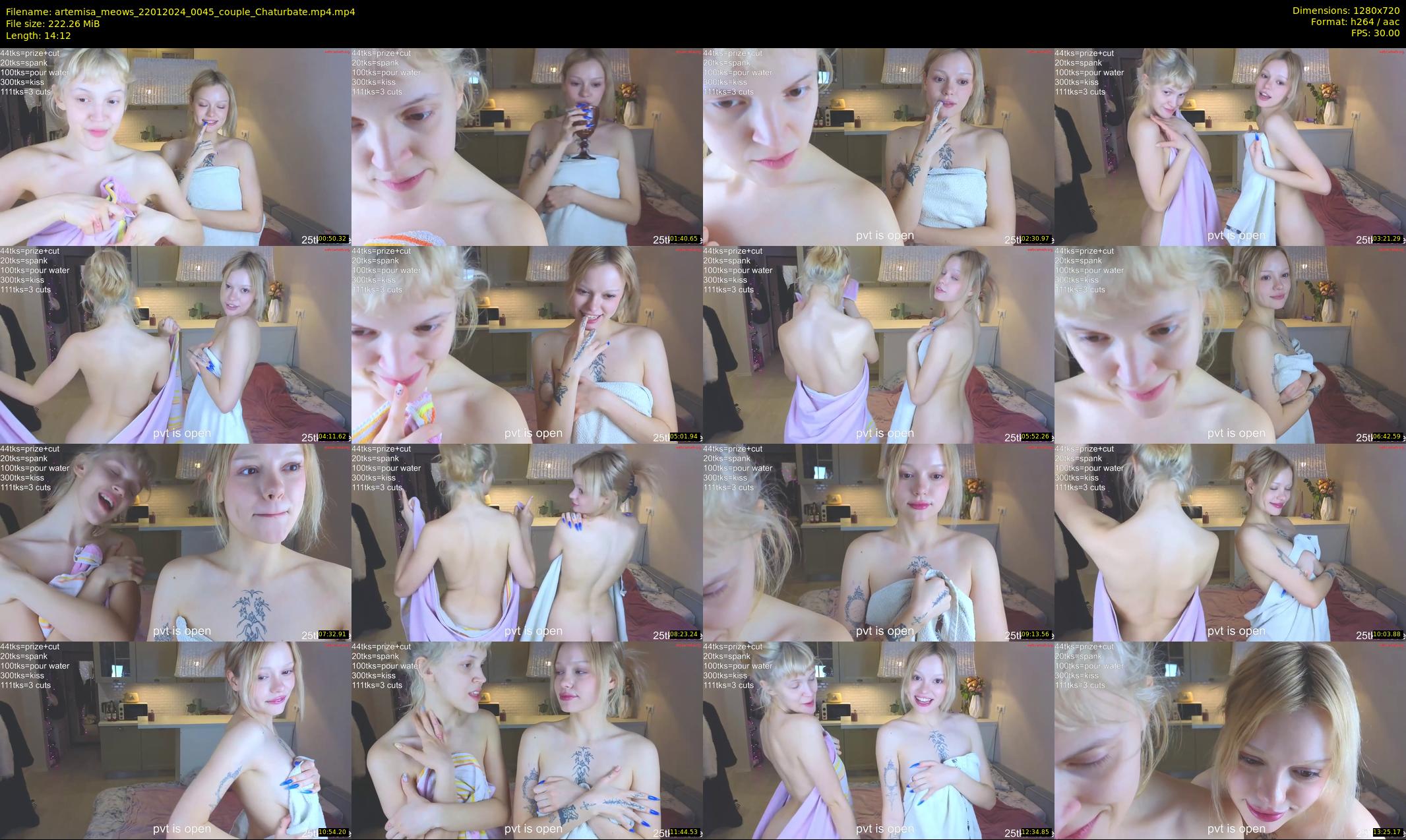 artemisa_meows — 15 minute Chaturbate couple cam show recording, 720p, Jan 22, 2024