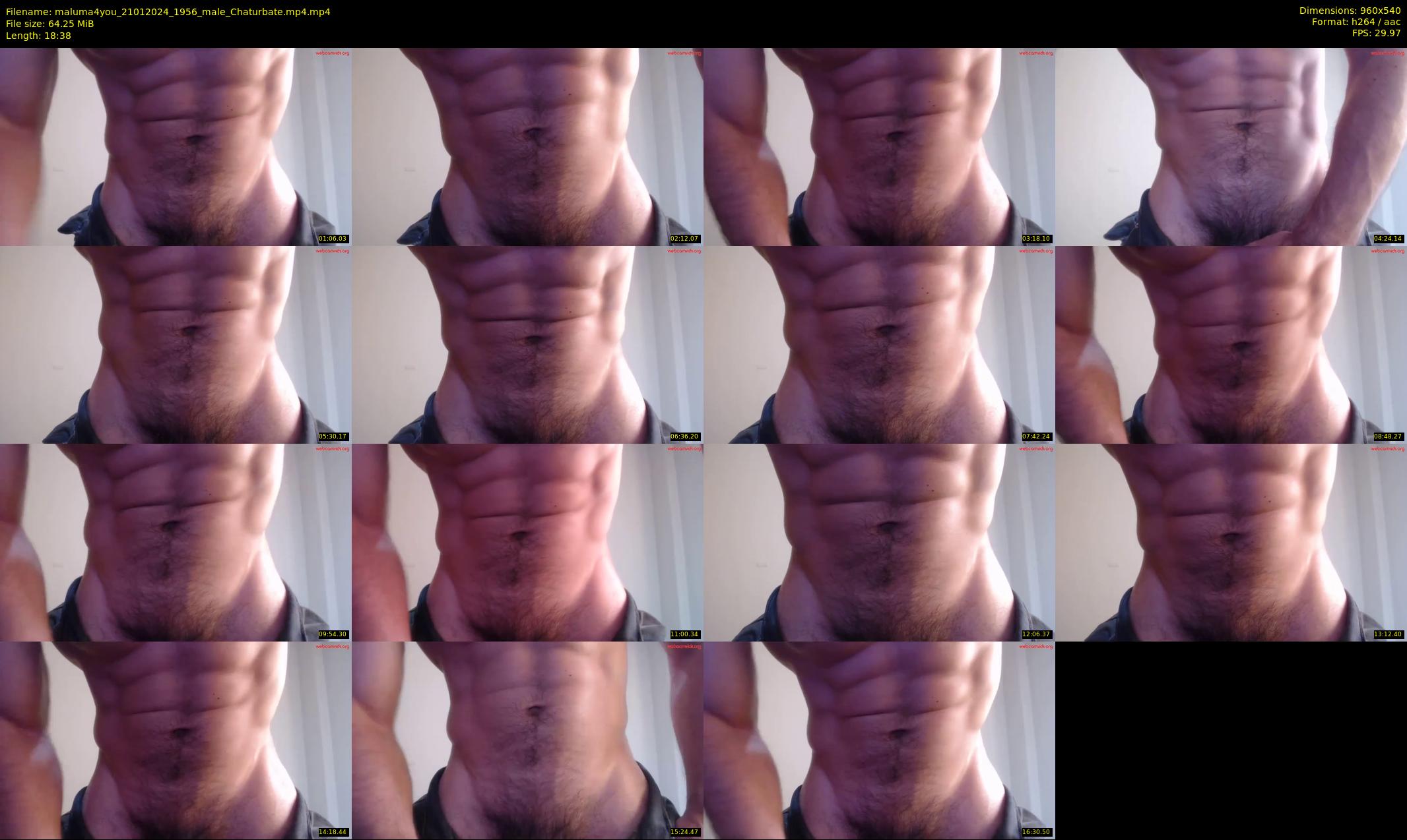 maluma4you — 19 minute Chaturbate male cam show recording, 480p, Jan 21, 2024