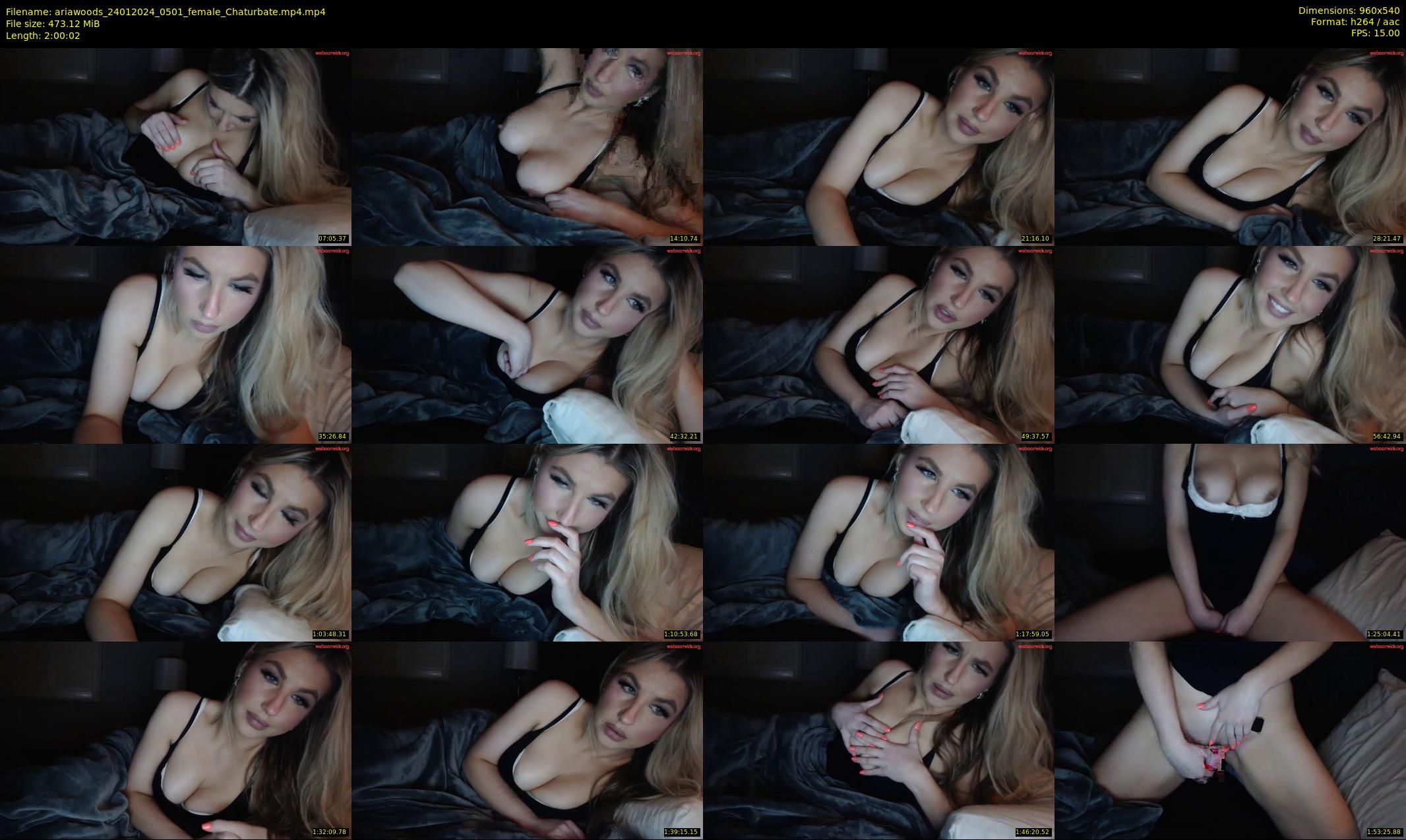 ariawoods — 121 minute Chaturbate female cam show recording, 480p, Jan 24, 2024