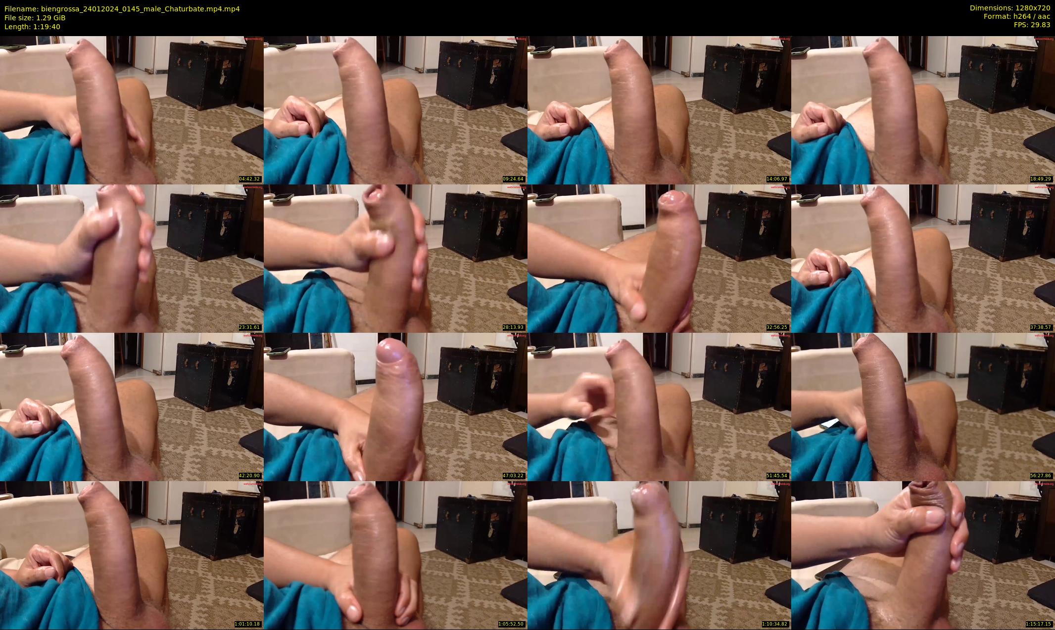 biengrossa — 80 minute Chaturbate male cam show recording, 720p, Jan 24, 2024