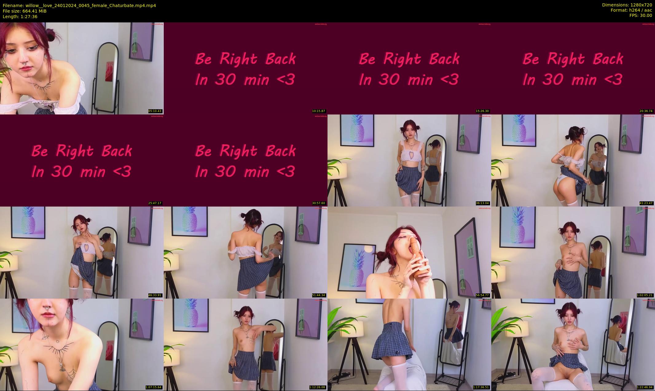 willow__love — 88 minute Chaturbate female cam show recording, 720p, Jan 24, 2024