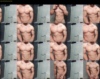 advp69 — 17 minute Chaturbate male cam show recording, 480p, Jan 27, 2024