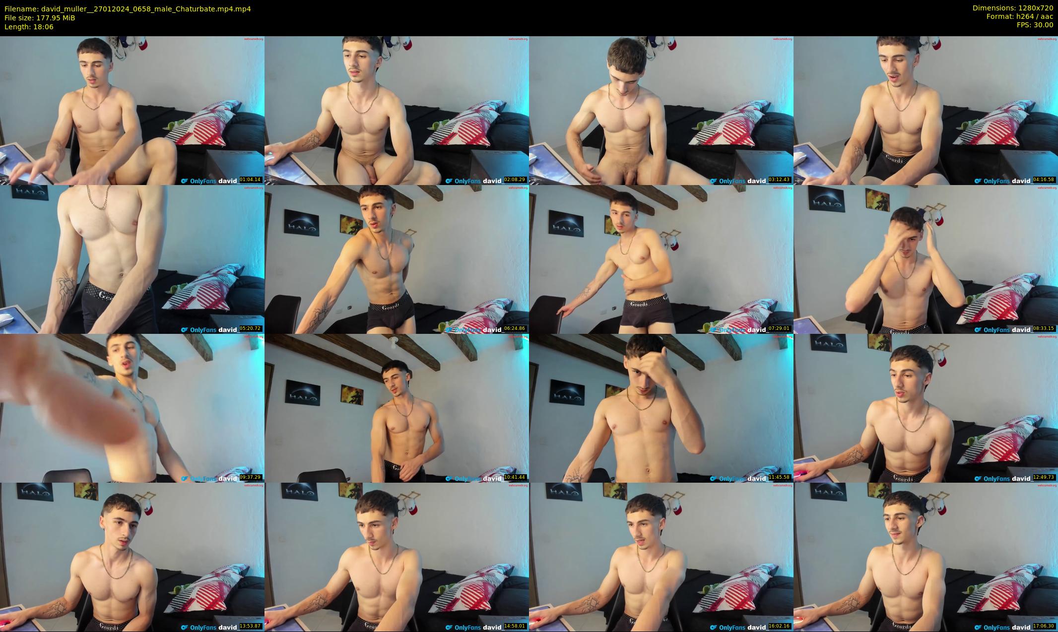 david_muller_ — 19 minute Chaturbate male cam show recording, 720p, Jan 27, 2024