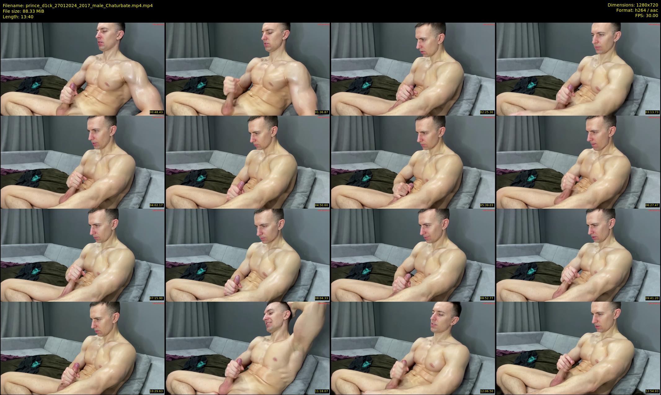 prince_d1ck — 14 minute Chaturbate male cam show recording, 720p, Jan 27, 2024
