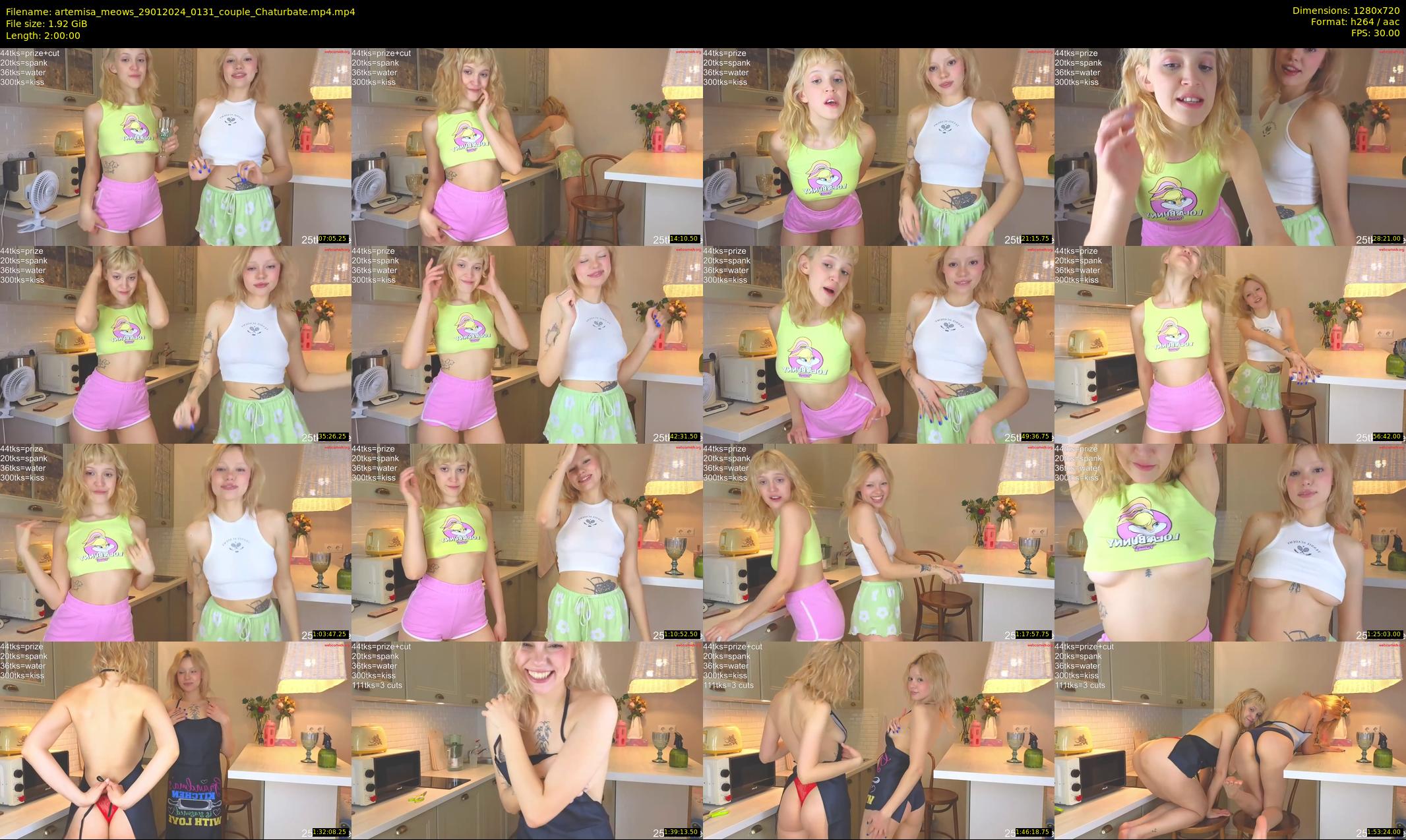 artemisa_meows — 120 minute Chaturbate couple cam show recording, 720p, Jan 29, 2024