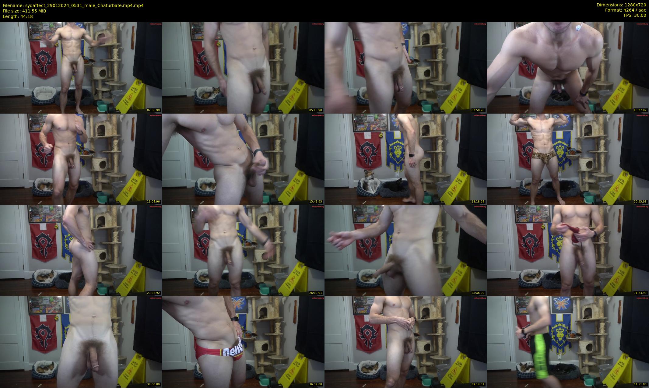 sydaffect — 45 minute Chaturbate male cam show recording, 720p, Jan 29, 2024