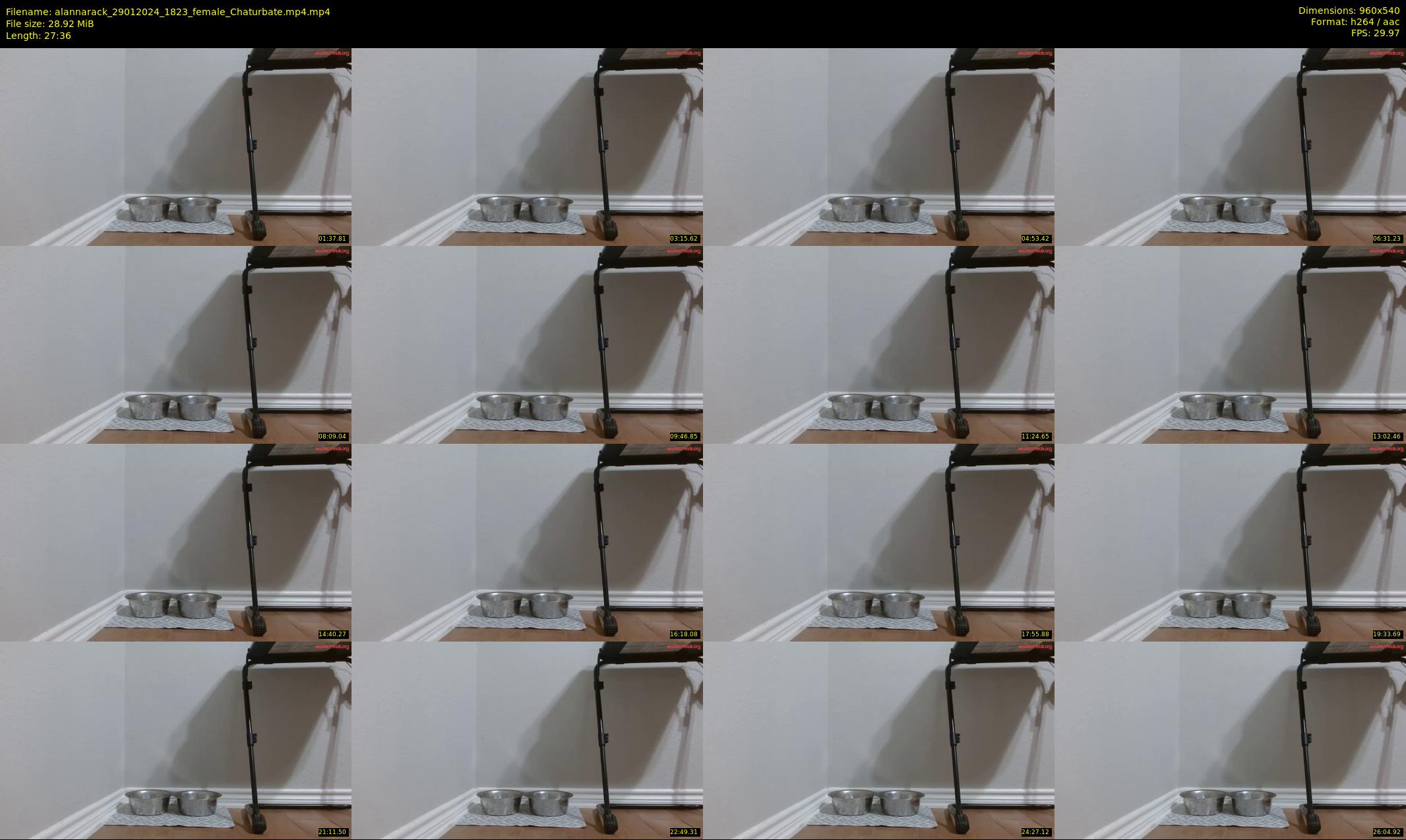 alannarack — 28 minute Chaturbate female cam show recording, 480p, Jan 29, 2024