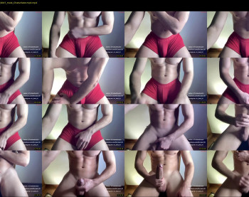 bestdick1991 — 29 minute Chaturbate male cam show recording, 720p, Jan 30, 2024