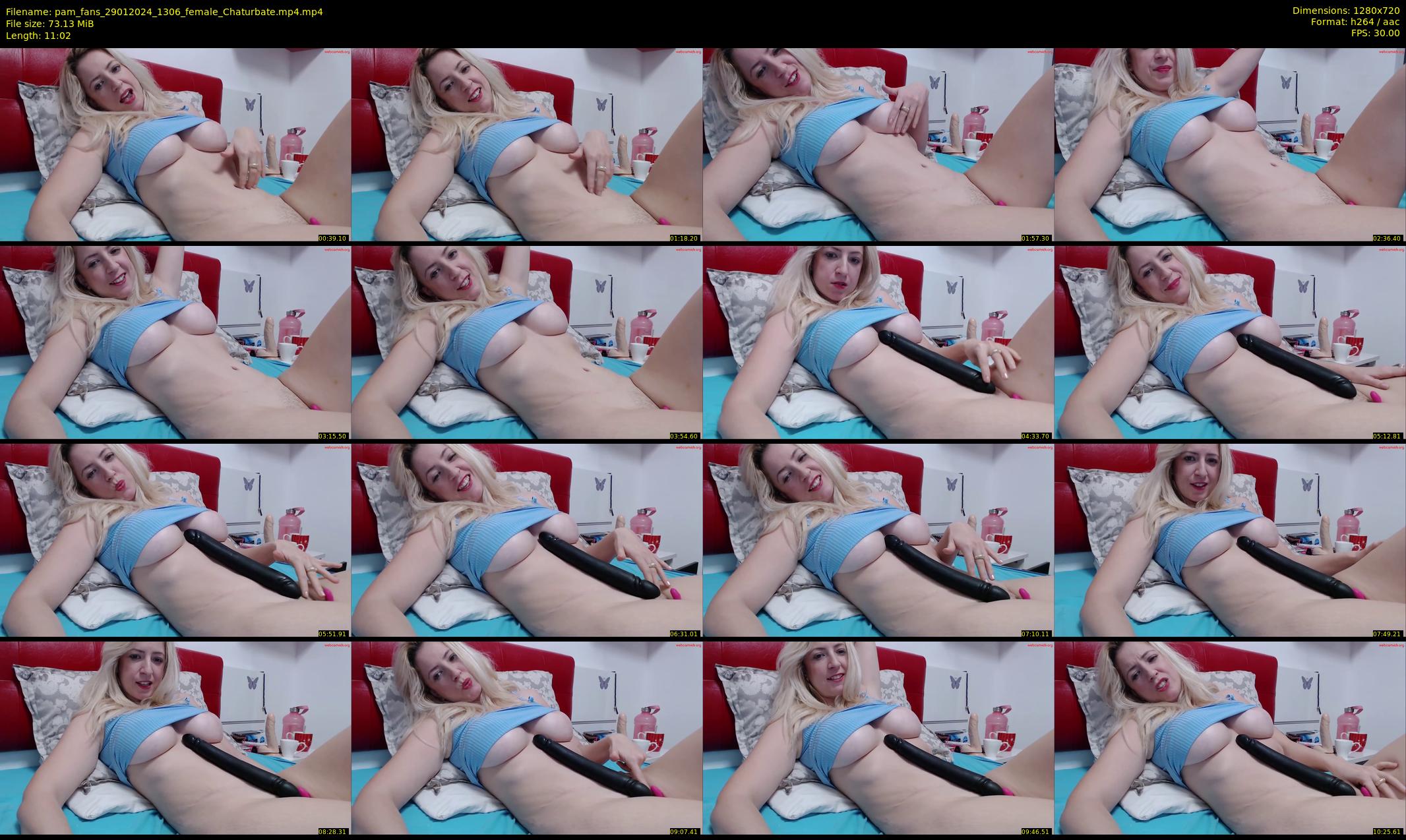pam_fans — 12 minute Chaturbate female cam show recording, 720p, Jan 29, 2024