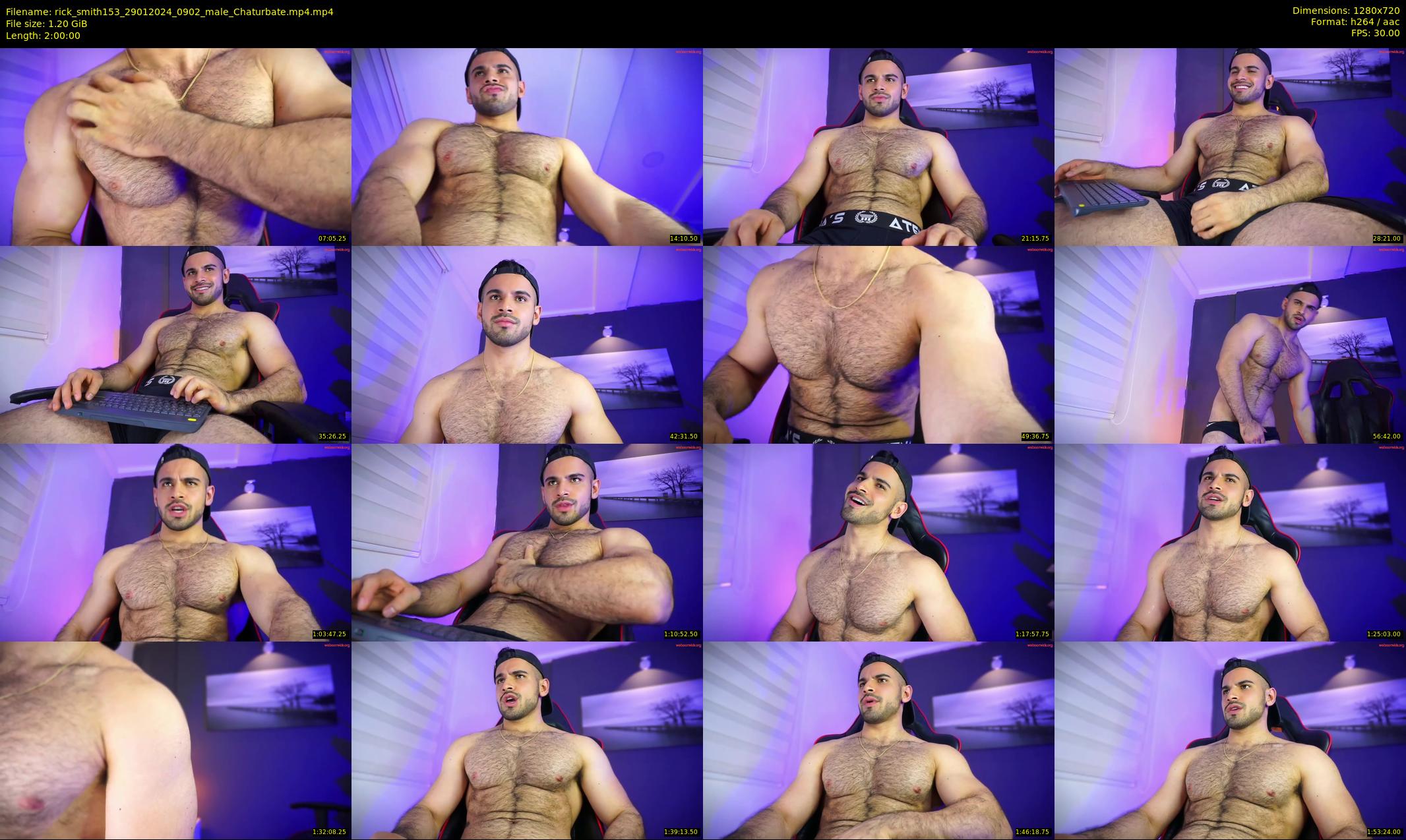 rick_smith153 — 120 minute Chaturbate male cam show recording, 720p, Jan 29, 2024