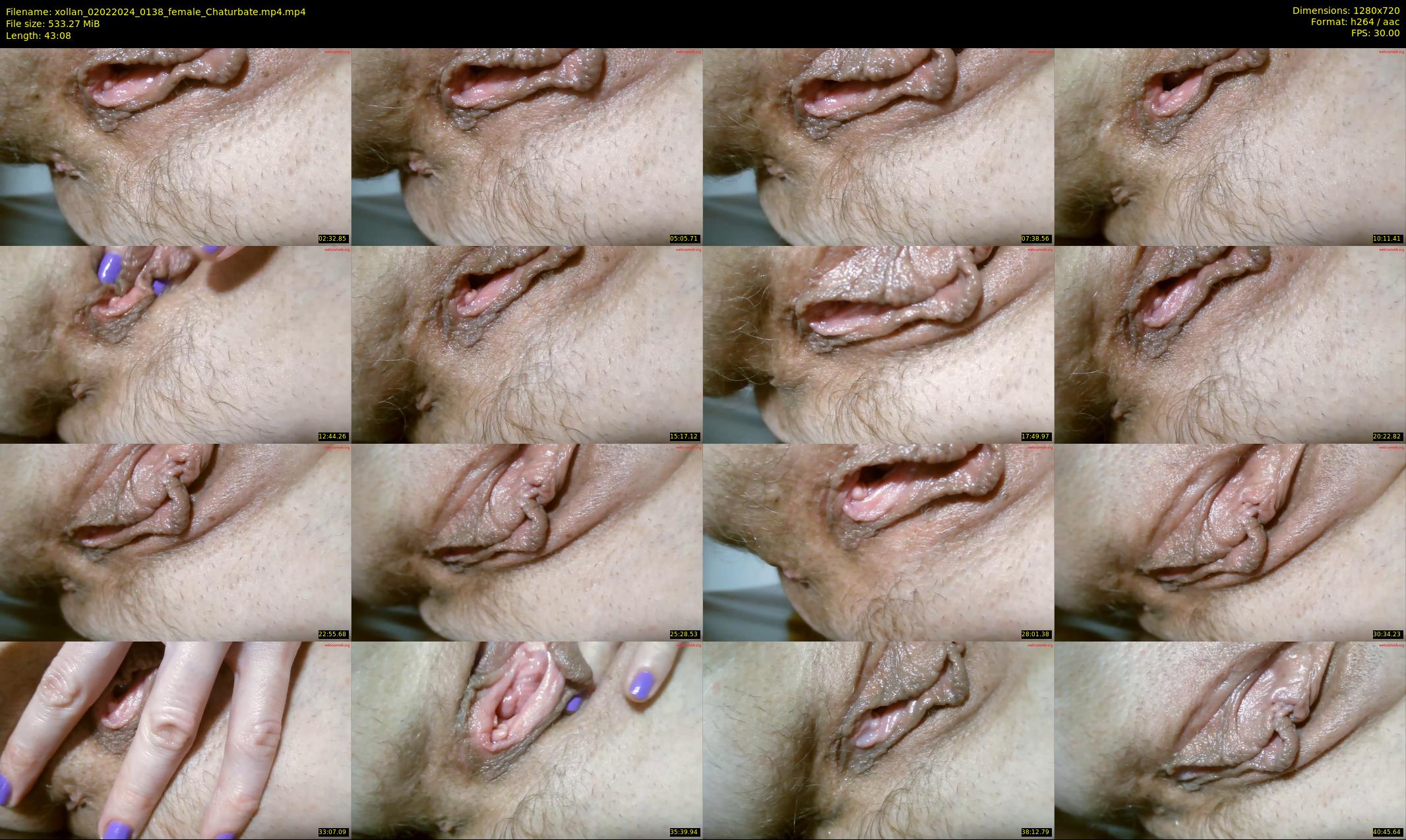 xollan — 44 minute Chaturbate female cam show recording, 720p, Feb 2, 2024