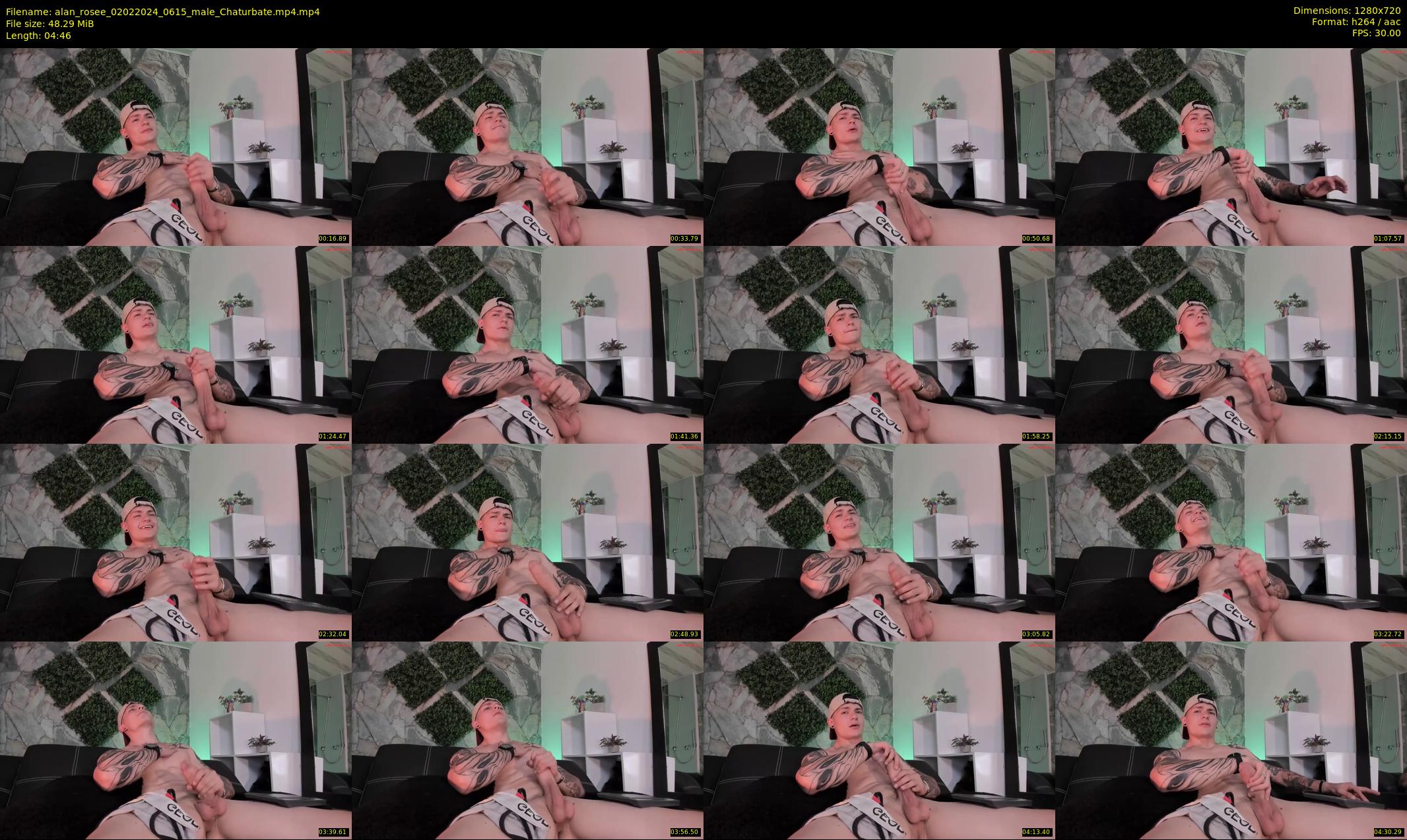 alan_rosee — 5 minute Chaturbate male cam show recording, 720p, Feb 2, 2024