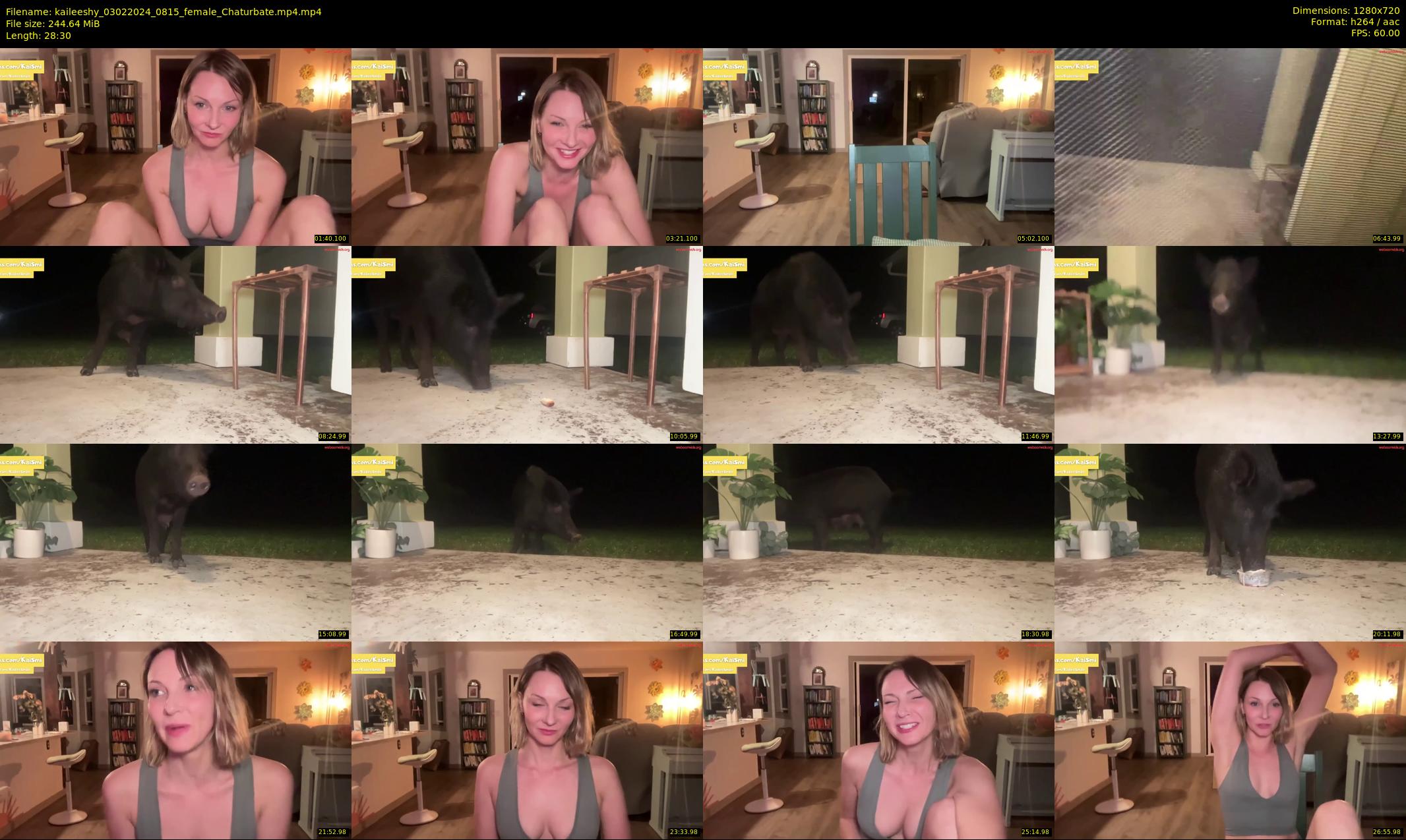 kaileeshy — 29 minute Chaturbate female cam show recording, 720p, Feb 3, 2024