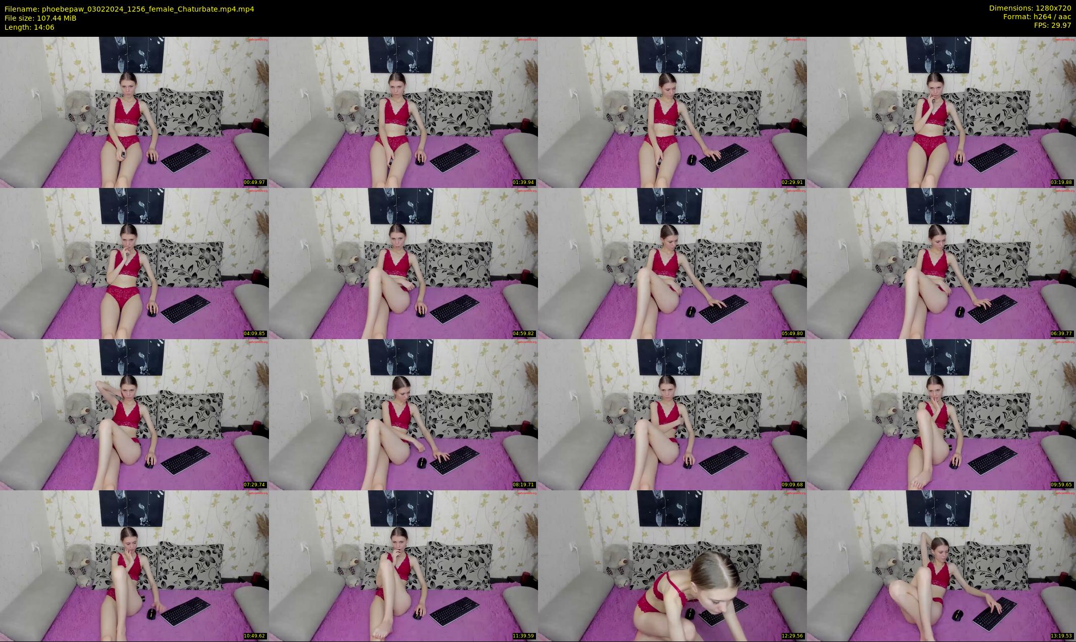 phoebepaw — 15 minute Chaturbate female cam show recording, 720p, Feb 3, 2024