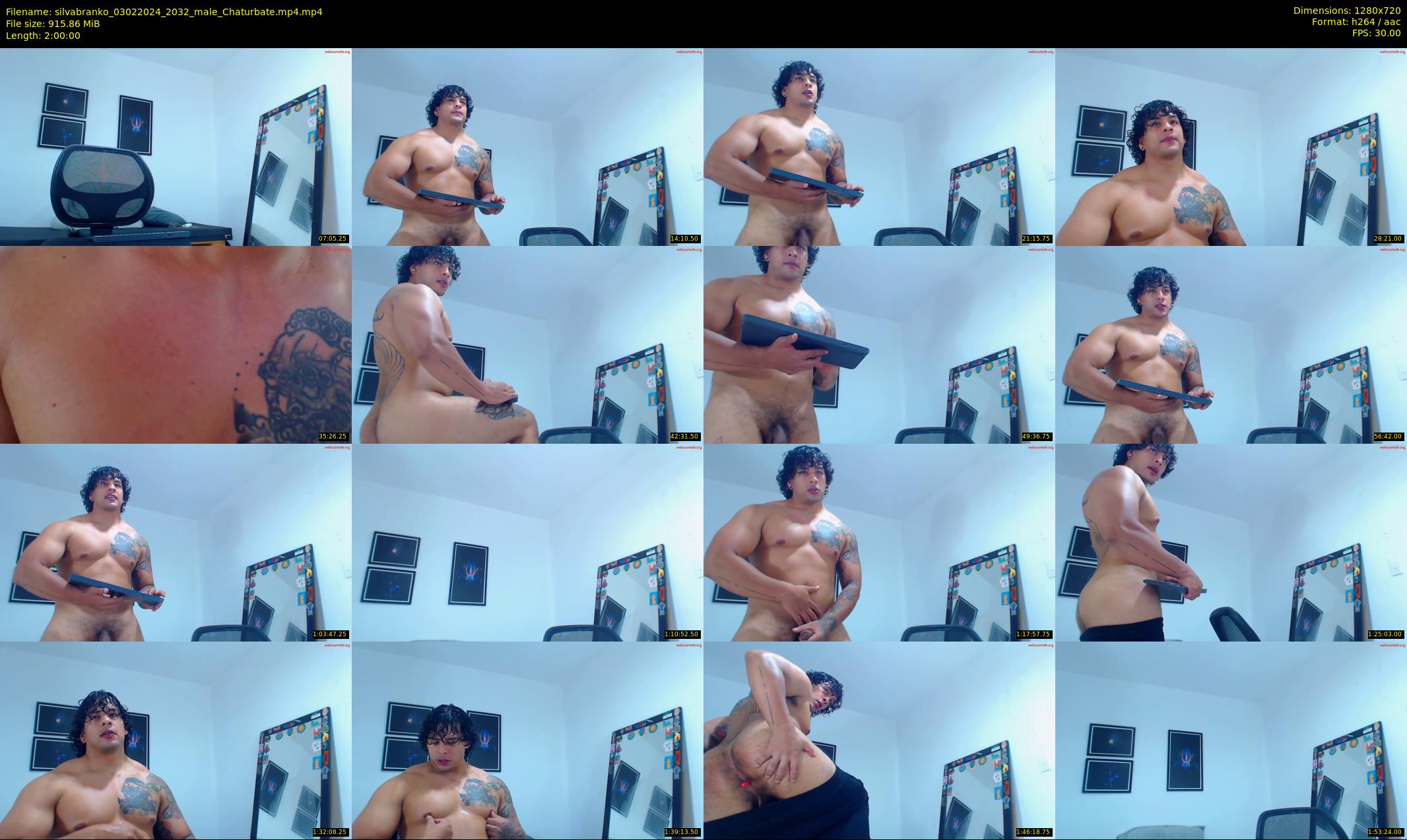 silvabranko — 120 minute Chaturbate male cam show recording, 720p, Feb 3, 2024