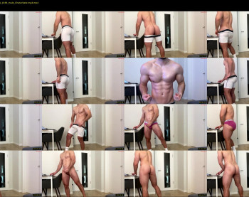 js_ihavecookie — 120 minute Chaturbate male cam show recording, 720p, Feb 4, 2024