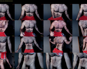 madmax20x — 20 minute Chaturbate male cam show recording, 720p, Feb 4, 2024