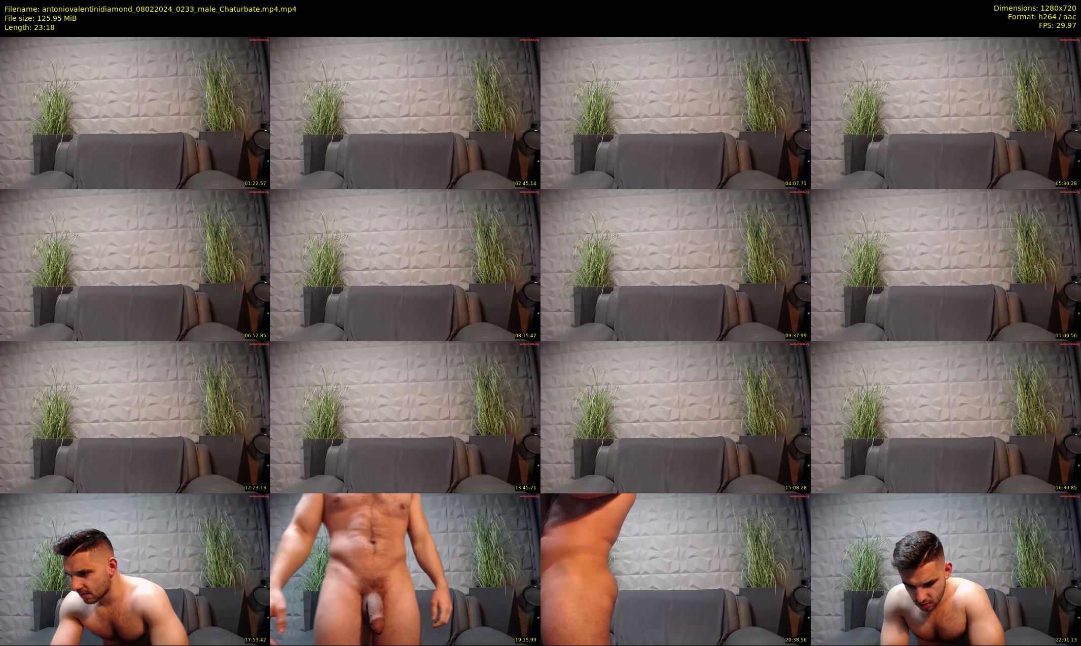 antoniovalentinidiamond — 24 minute Chaturbate male cam show recording, 720p, Feb 8, 2024