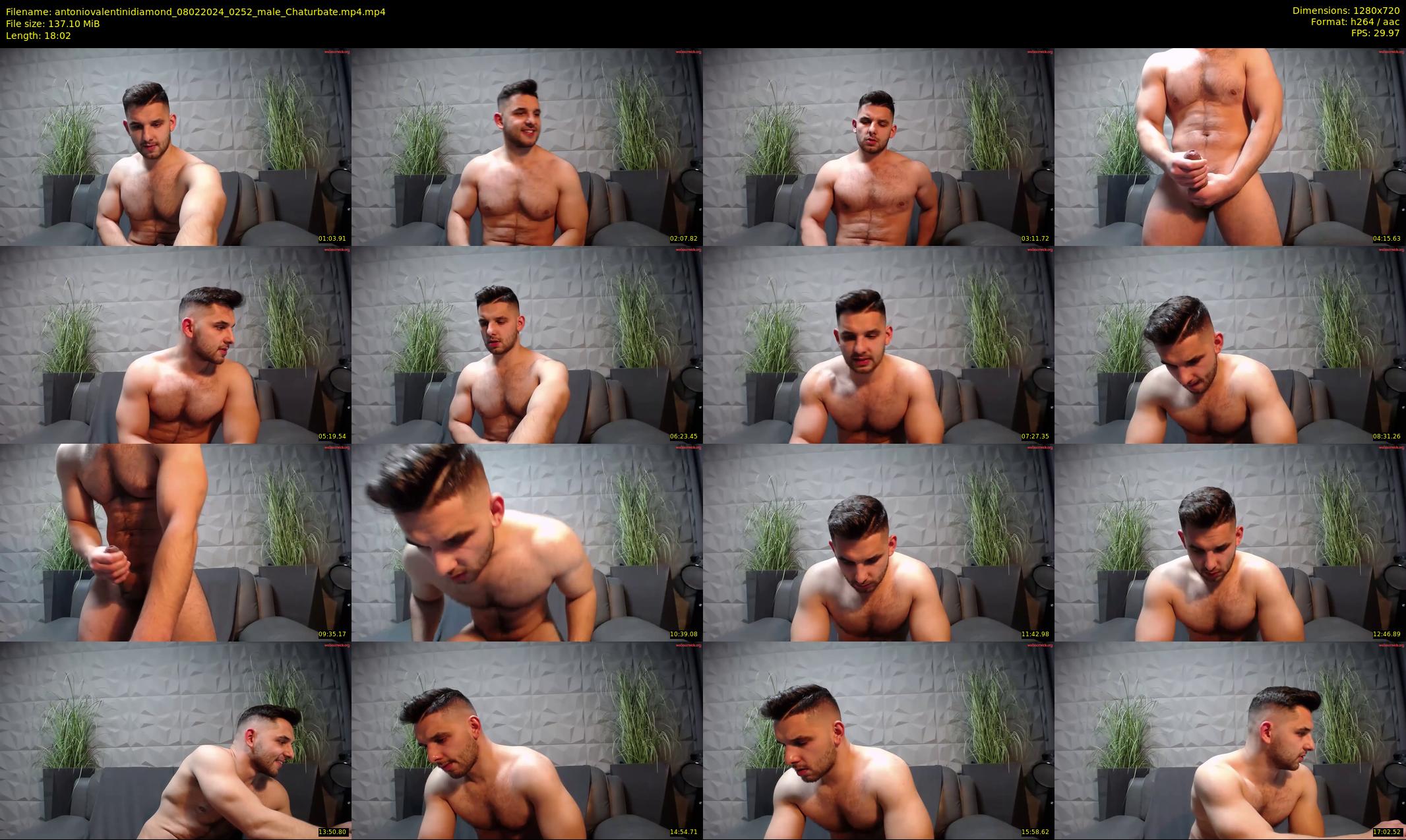 antoniovalentinidiamond — 19 minute Chaturbate male cam show recording, 720p, Feb 8, 2024