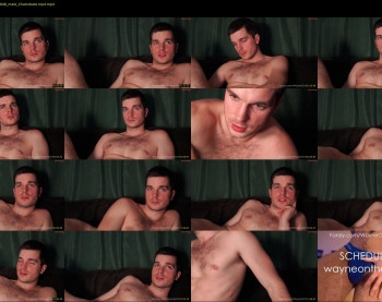 waynenorth — 14 minute Chaturbate male cam show recording, 720p, Feb 7, 2024