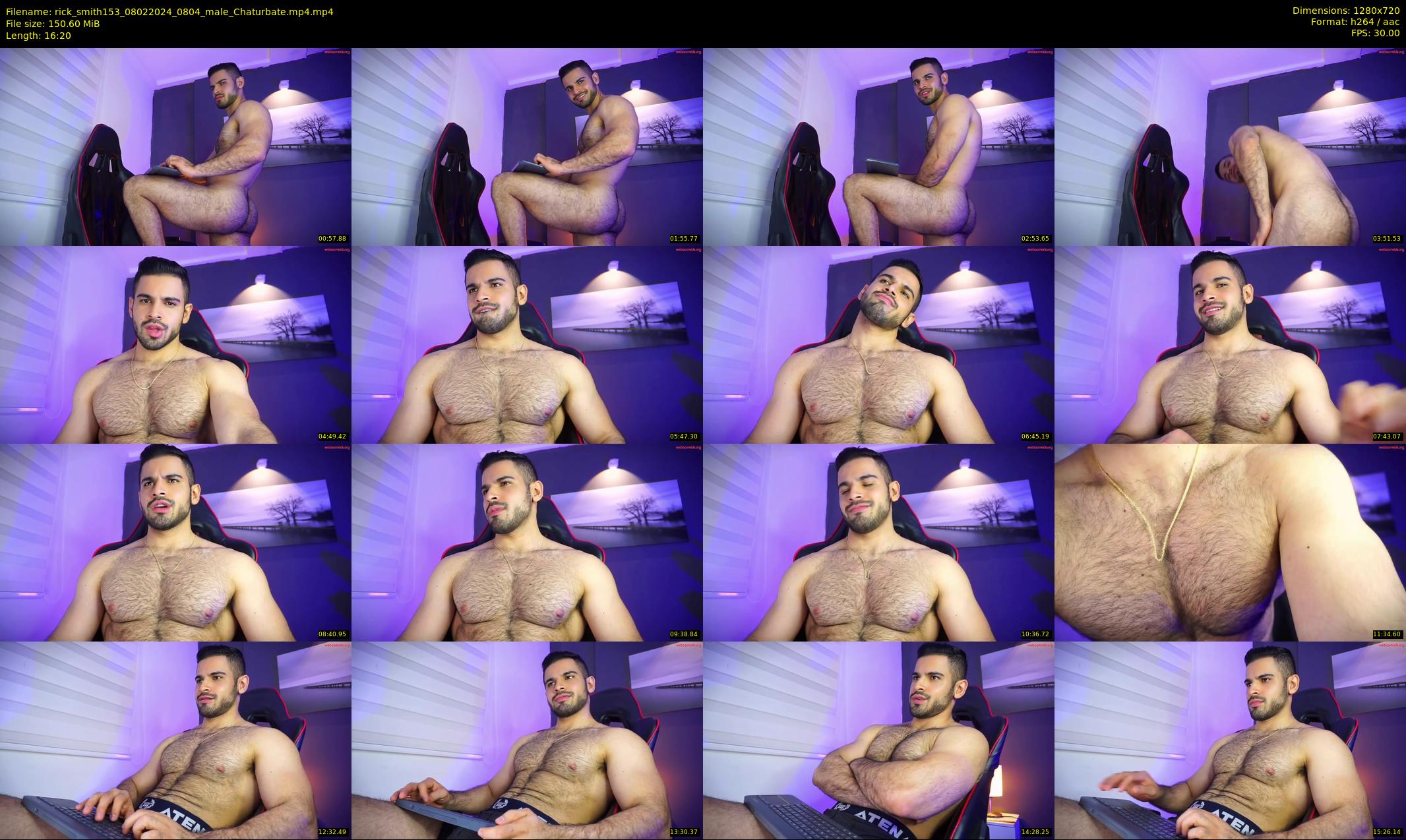 rick_smith153 — 17 minute Chaturbate male cam show recording, 720p, Feb 8, 2024