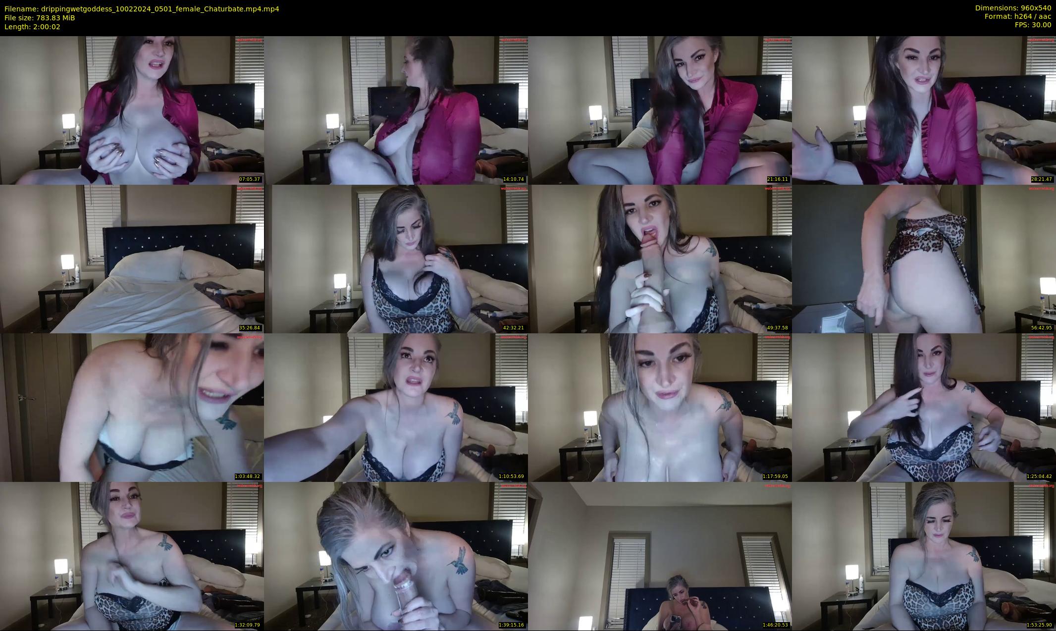 drippingwetgoddess — 121 minute Chaturbate female cam show recording, 480p, Feb 10, 2024