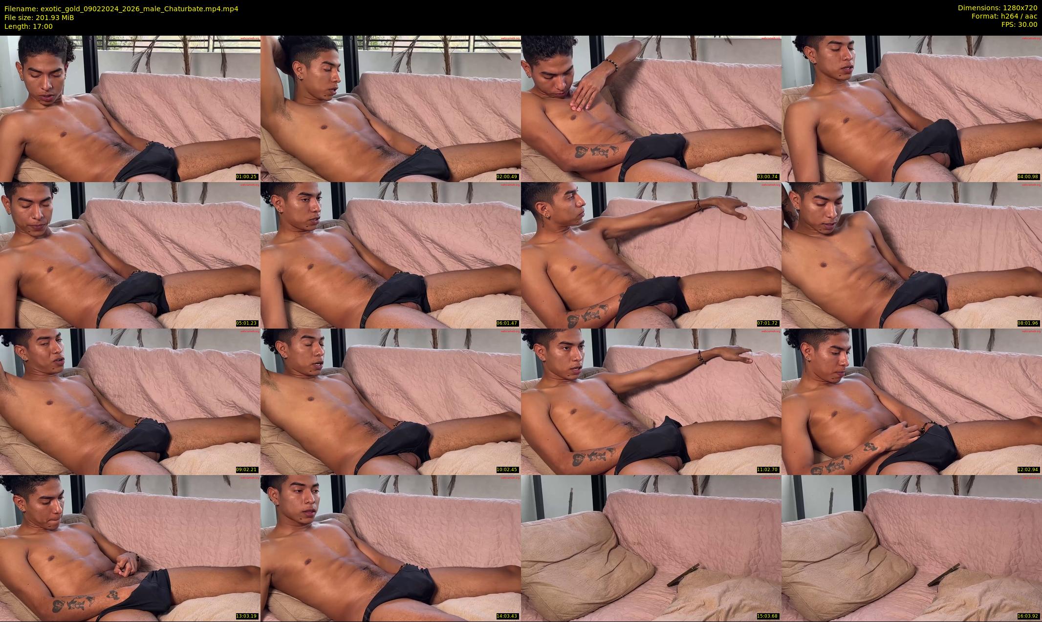 exotic_gold — 17 minute Chaturbate male cam show recording, 720p, Feb 9, 2024
