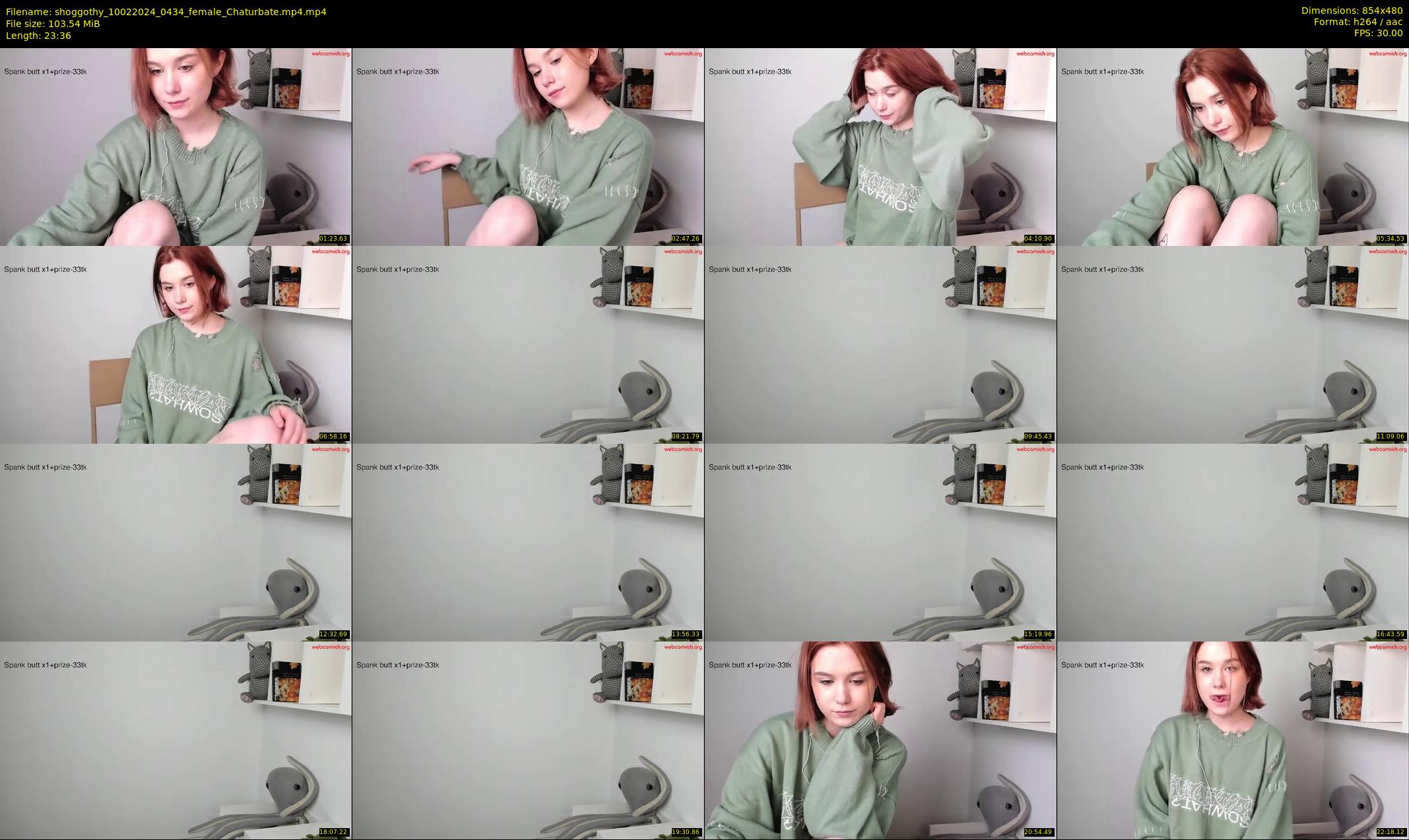 shoggothy — 24 minute Chaturbate female cam show recording, 480p, Feb 10, 2024