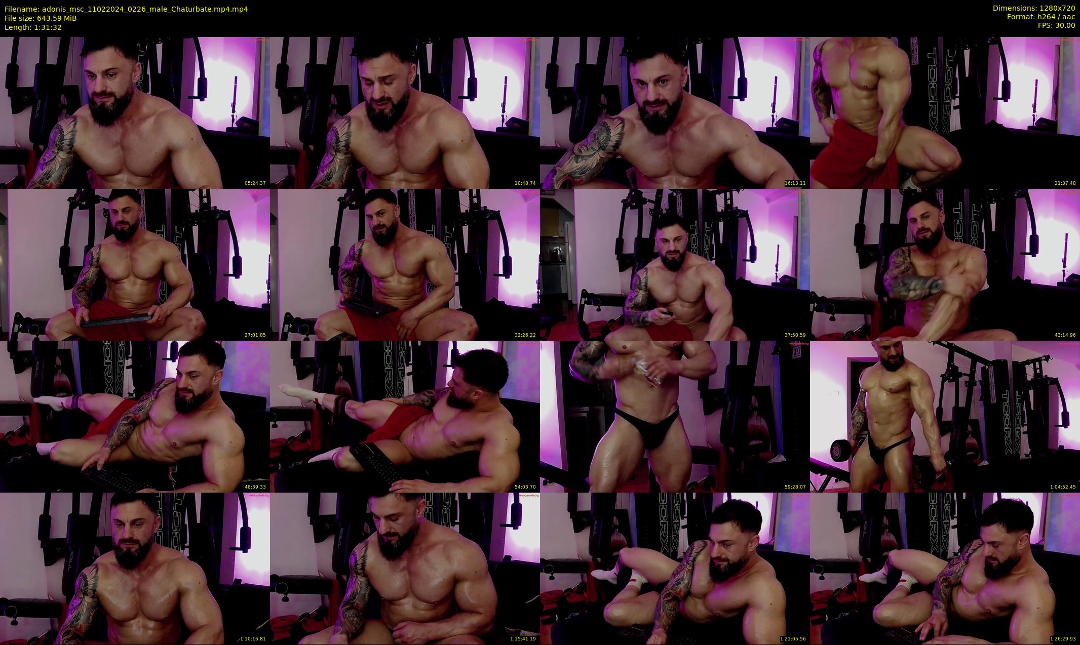 adonis_msc — 92 minute Chaturbate male cam show recording, 720p, Feb 11, 2024