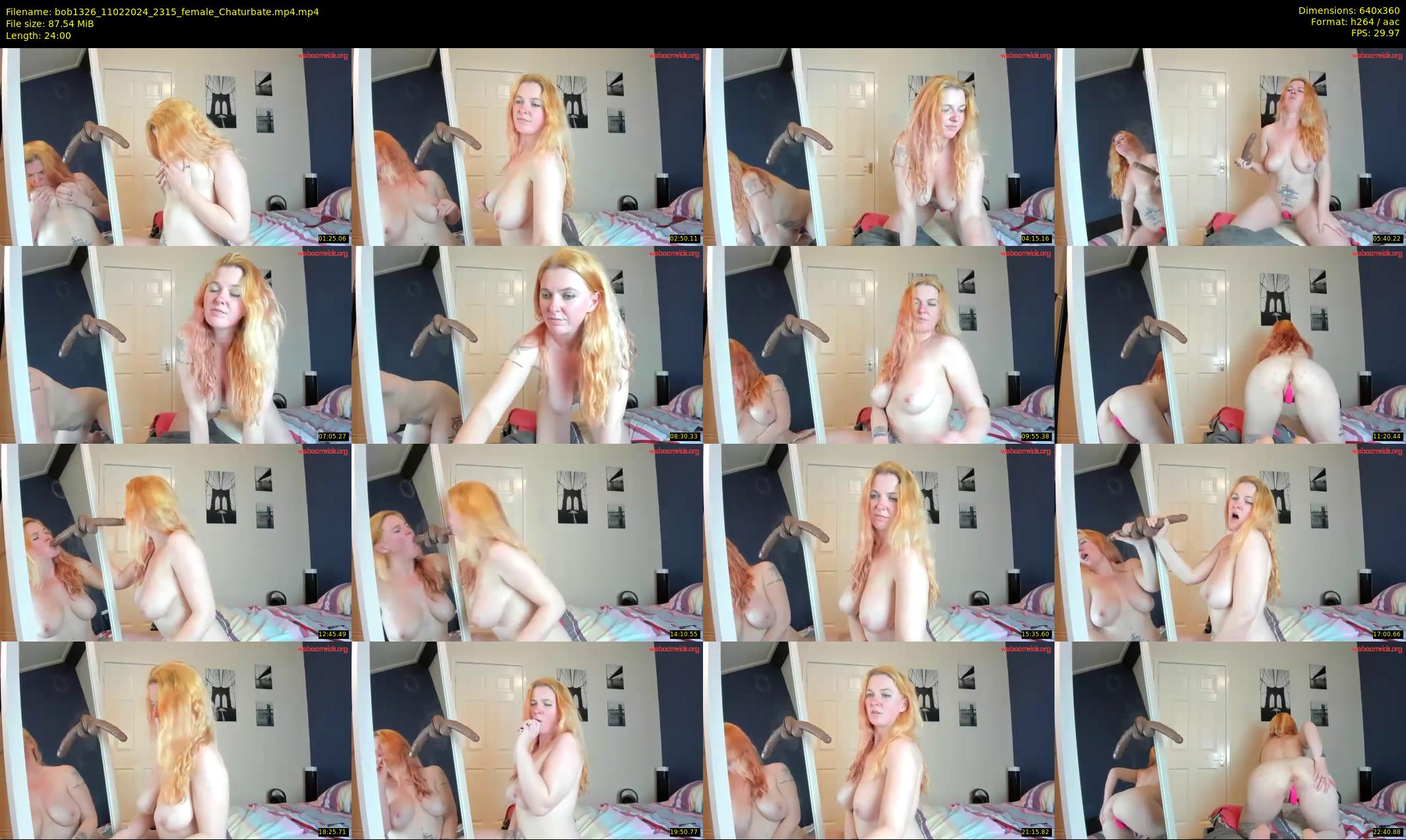 bob1326 — 24 minute Chaturbate female cam show recording, 360p, Feb 11, 2024