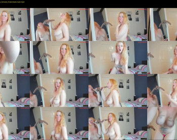 bob1326 — 92 minute Chaturbate female cam show recording, 360p, Feb 12, 2024