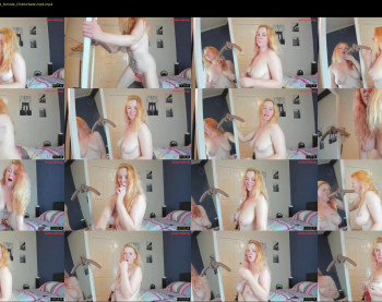 bob1326 — 115 minute Chaturbate female cam show recording, 360p, Feb 12, 2024