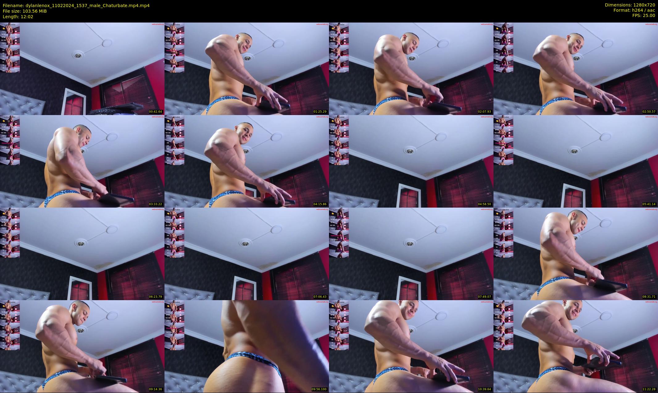 dylanlenox — 13 minute Chaturbate male cam show recording, 720p, Feb 11, 2024