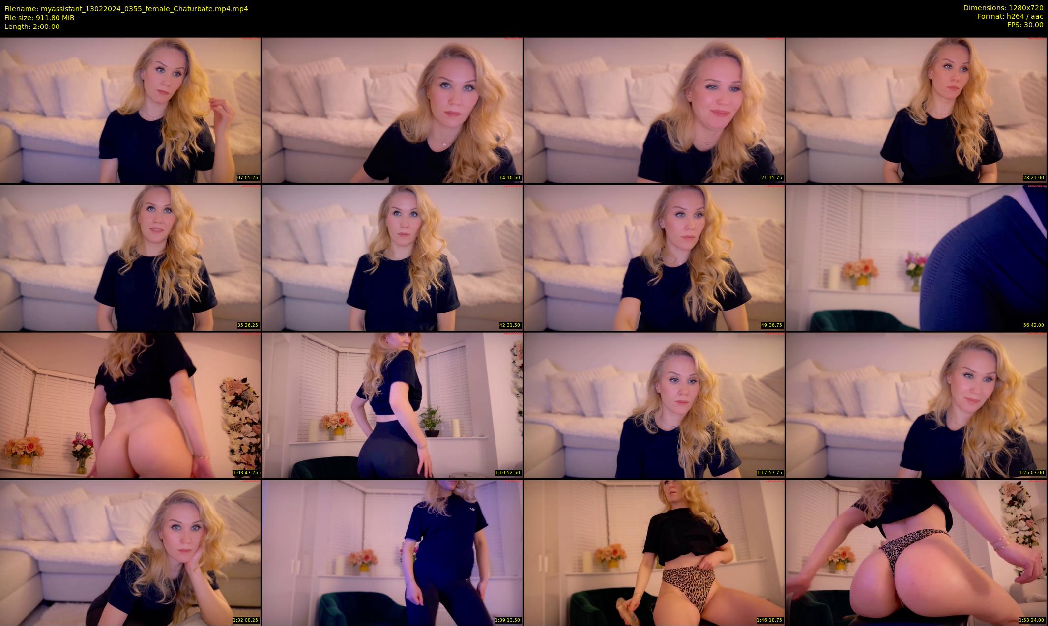 myassistant — 120 minute Chaturbate female cam show recording, 720p, Feb 13, 2024