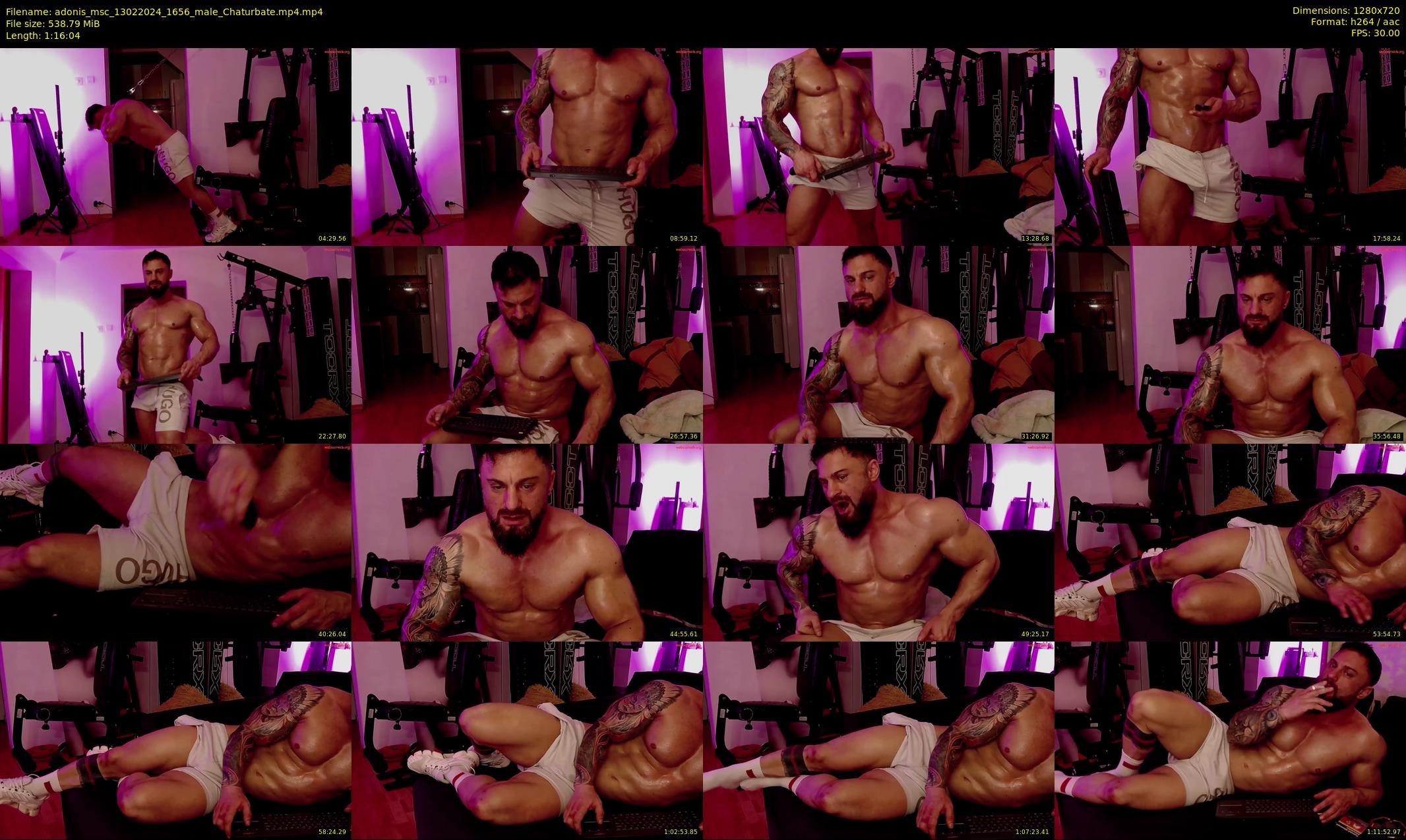 adonis_msc — 77 minute Chaturbate male cam show recording, 720p, Feb 13, 2024