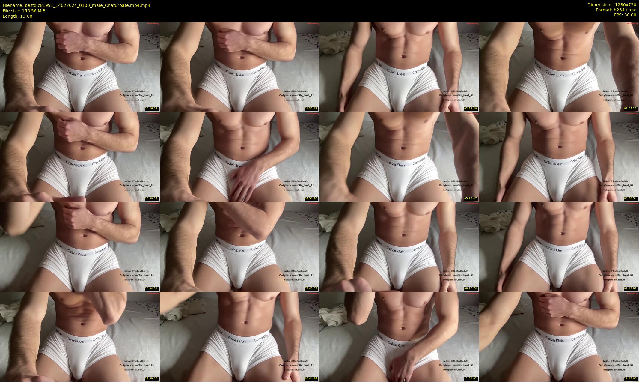 bestdick1991 — 13 minute Chaturbate male cam show recording, 720p, Feb 14, 2024
