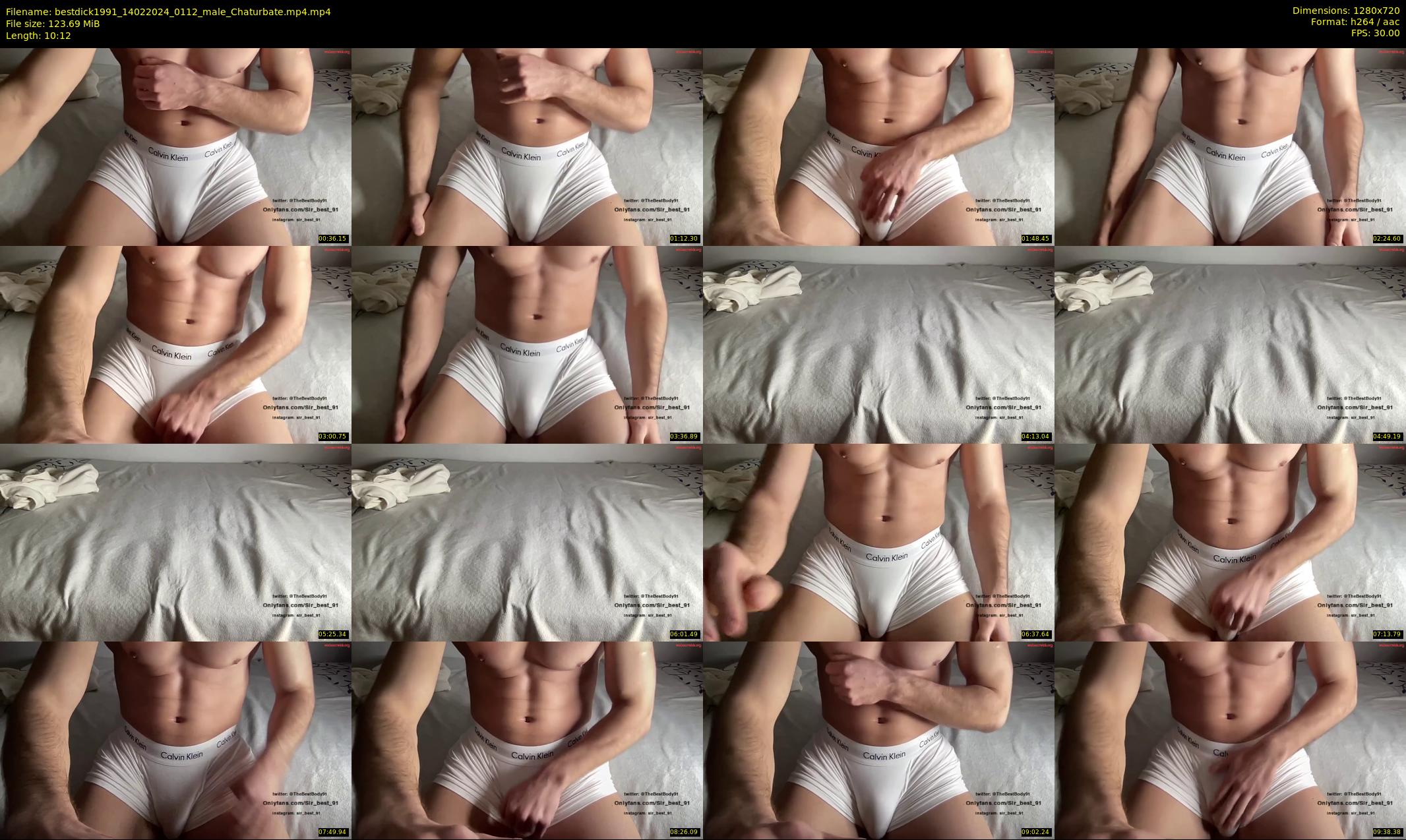 bestdick1991 — 11 minute Chaturbate male cam show recording, 720p, Feb 14, 2024