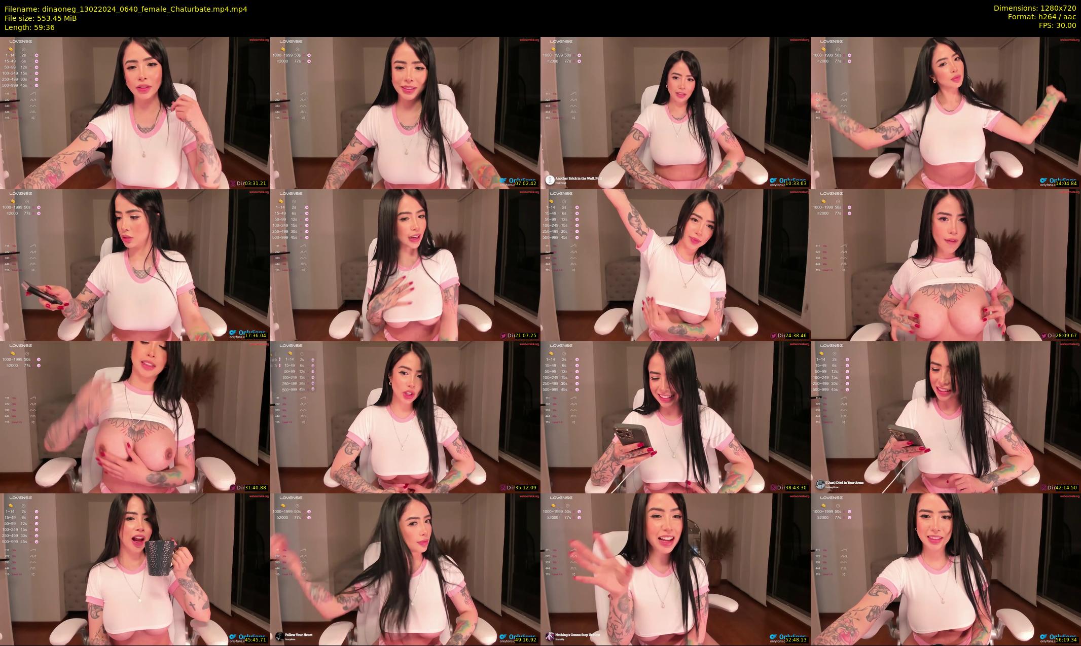 dinaoneg — 60 minute Chaturbate female cam show recording, 720p, Feb 13, 2024