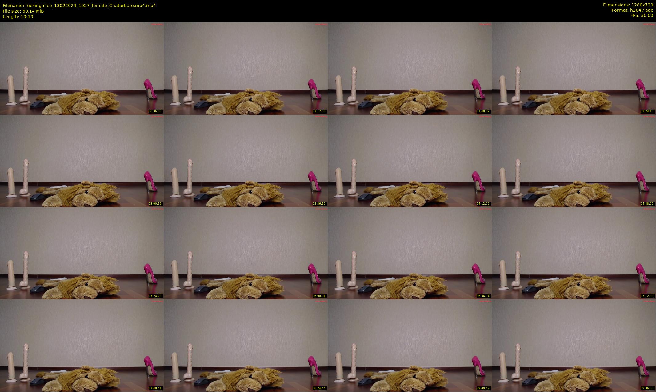 fuckingalice — 11 minute Chaturbate female cam show recording, 720p, Feb 13, 2024